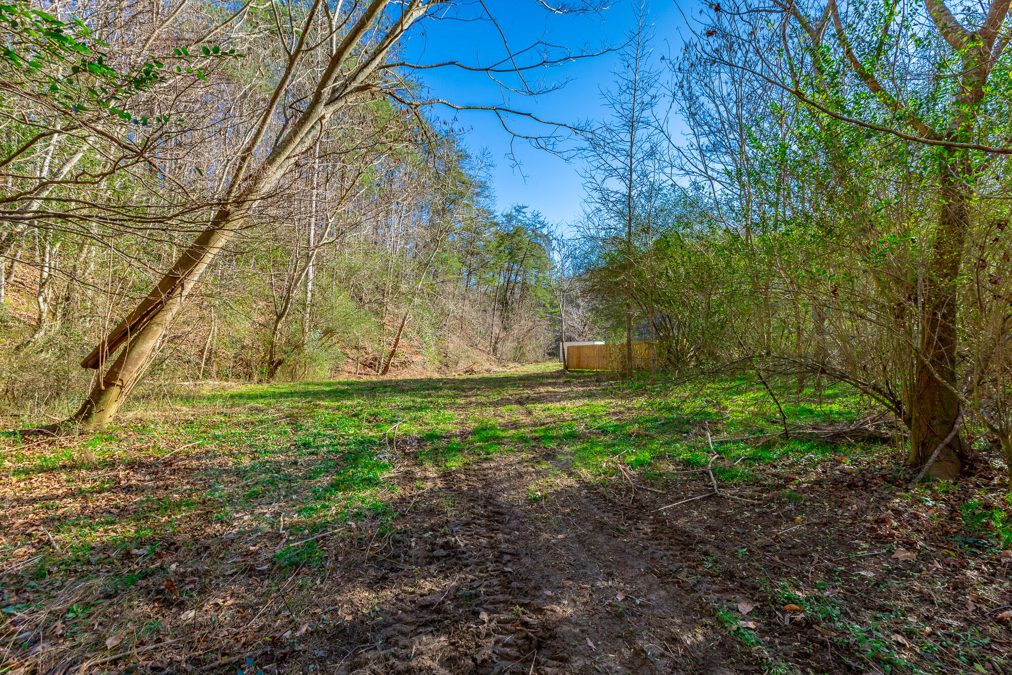 4516 Old Mineral Springs Road, LaFayette