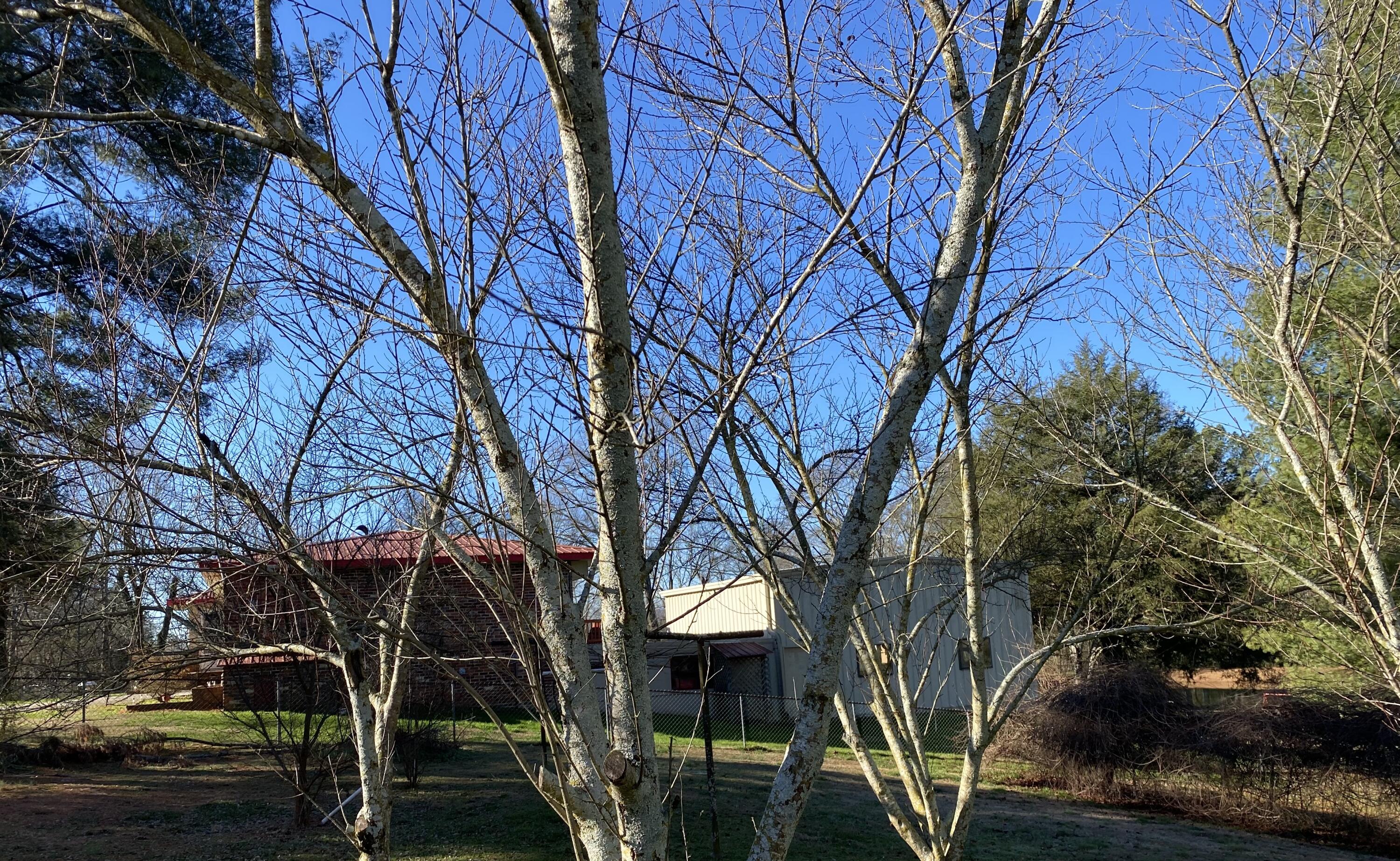 4628 Highway 337, LaFayette