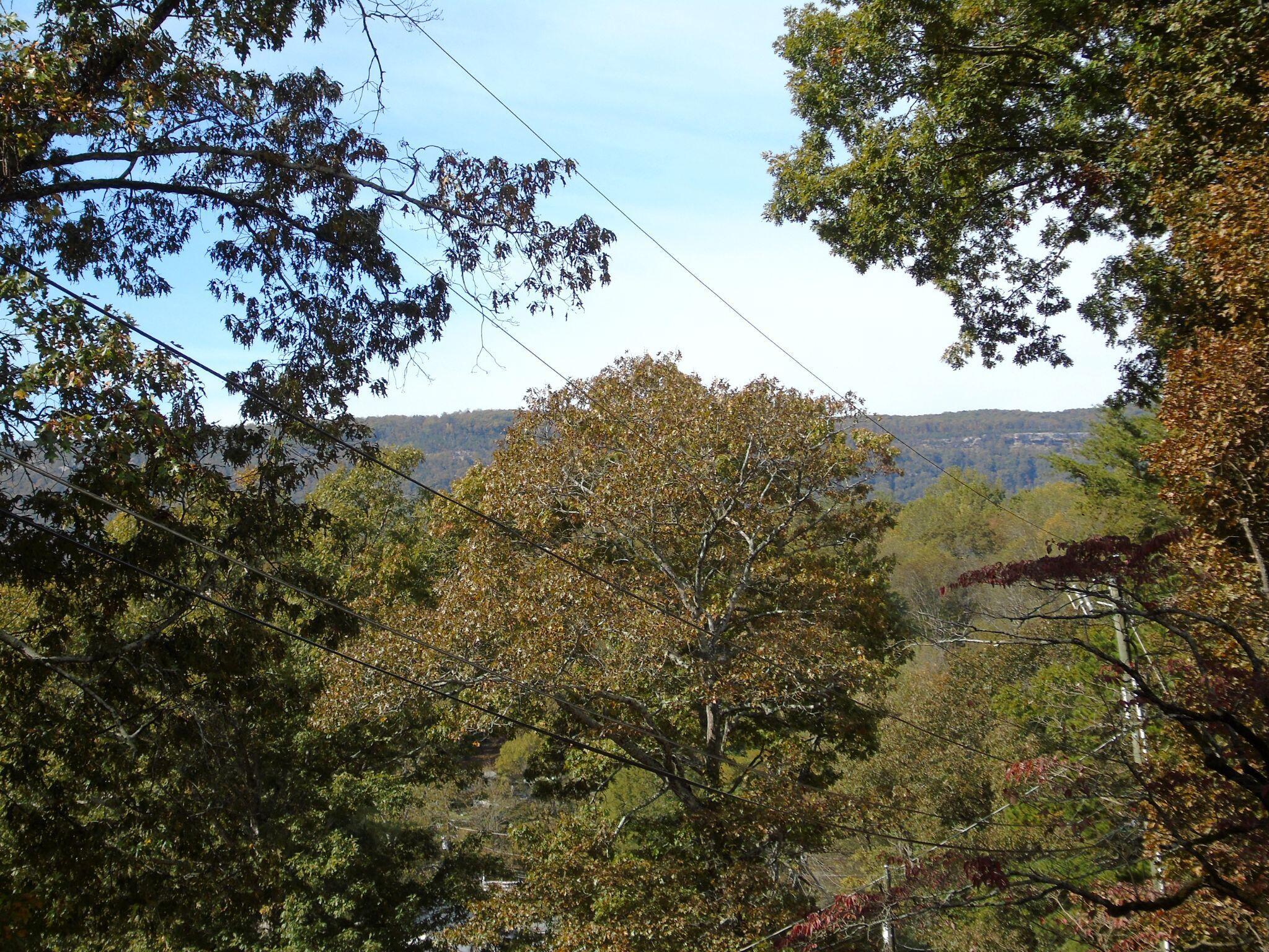 419 Benton Lane