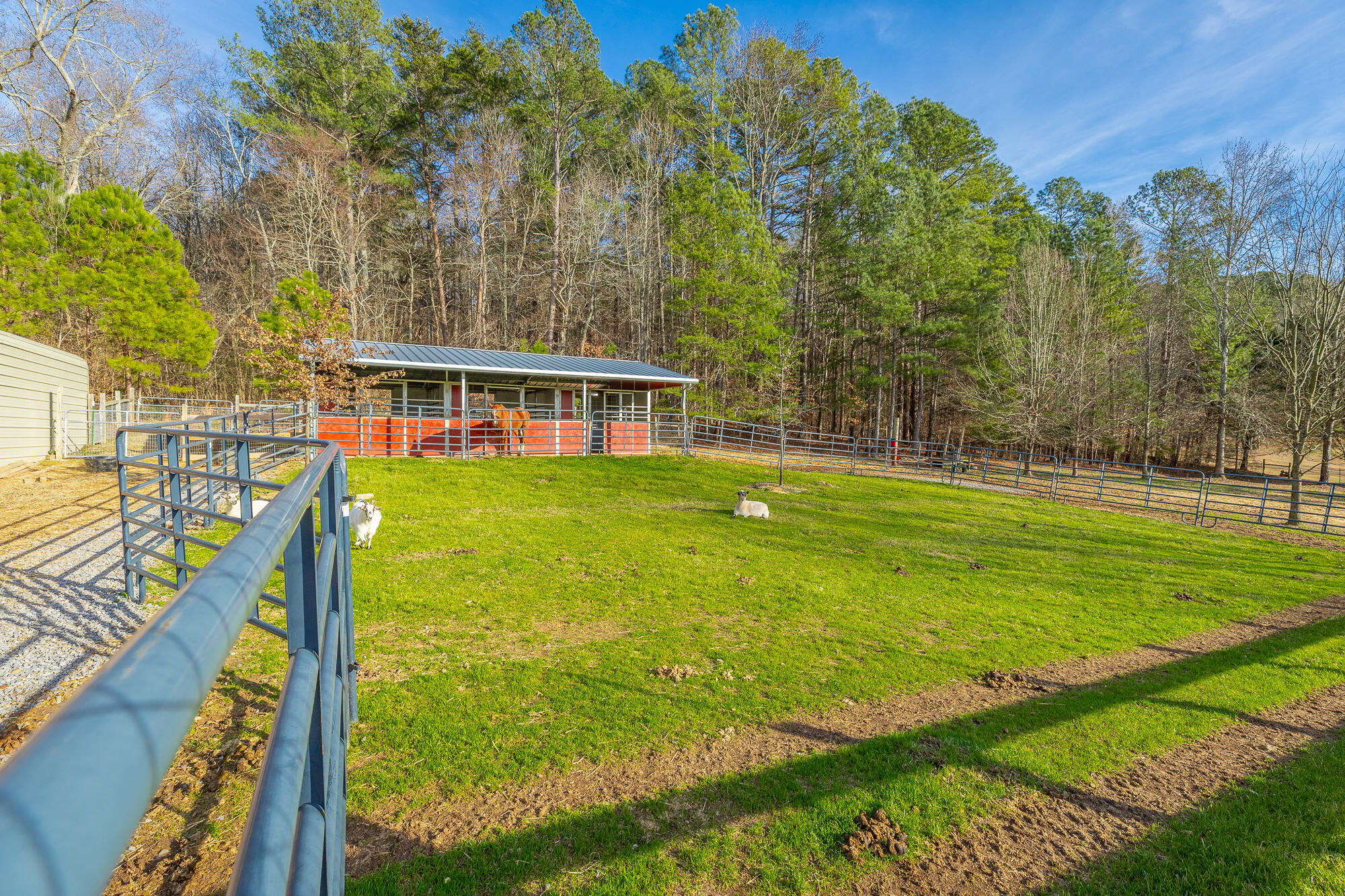 417 Davis Ridge Road