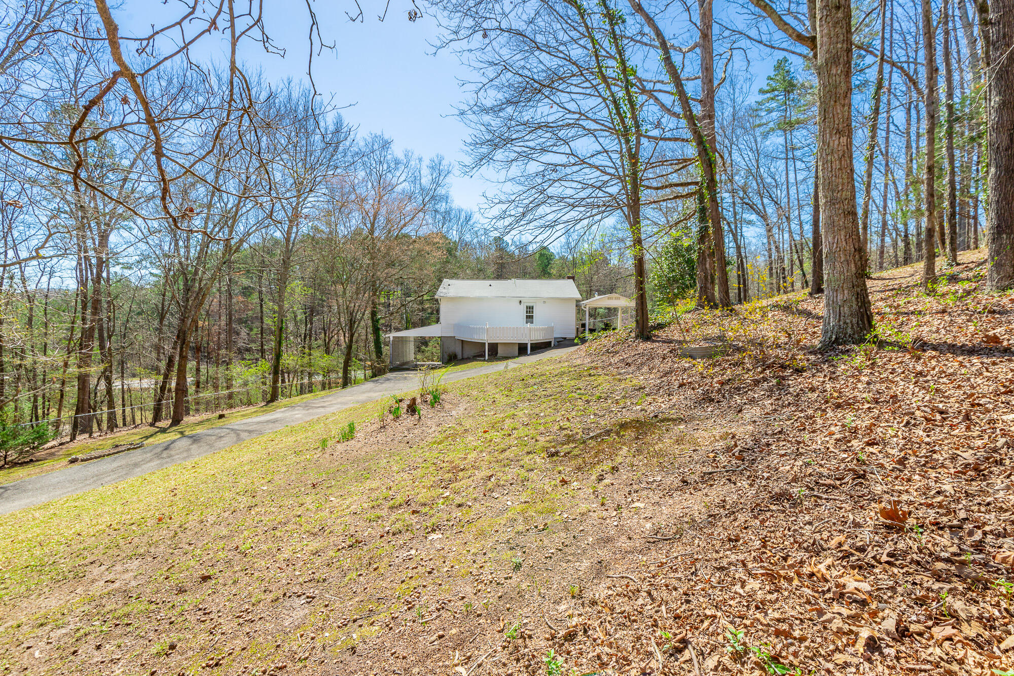 3885 Hwy 41