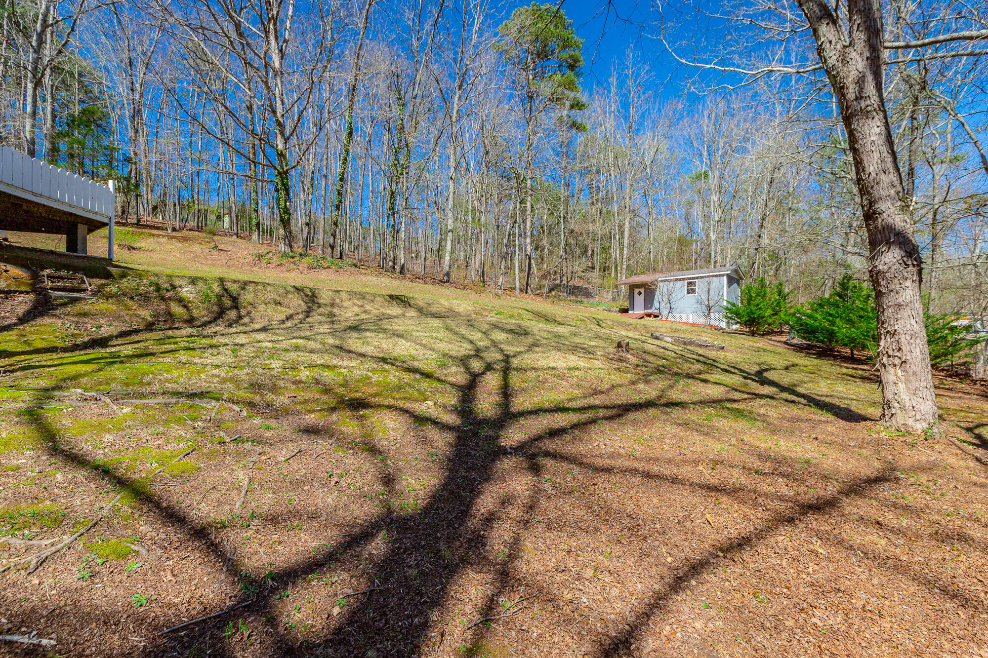 3885 Hwy 41