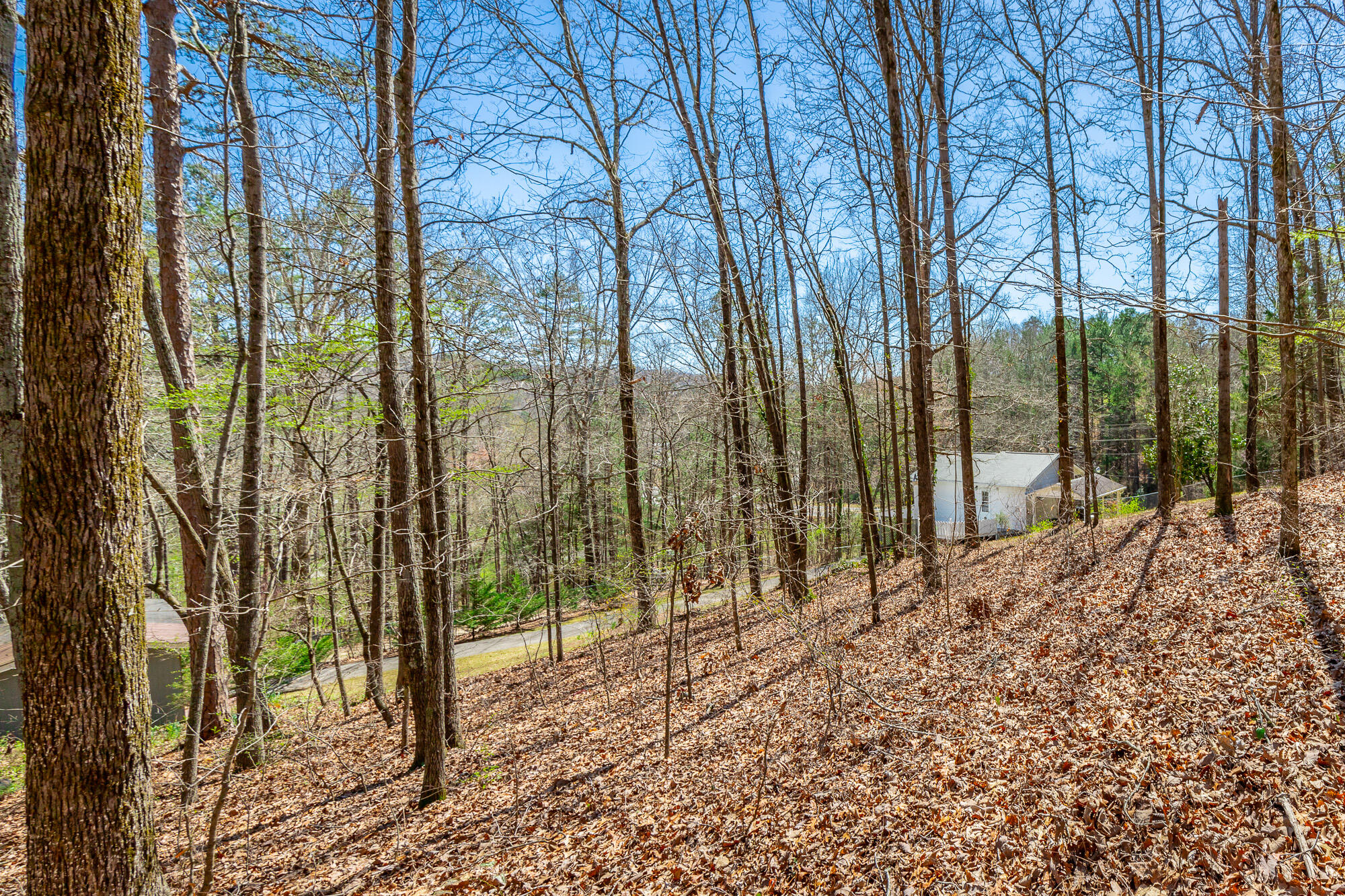 3885 Hwy 41