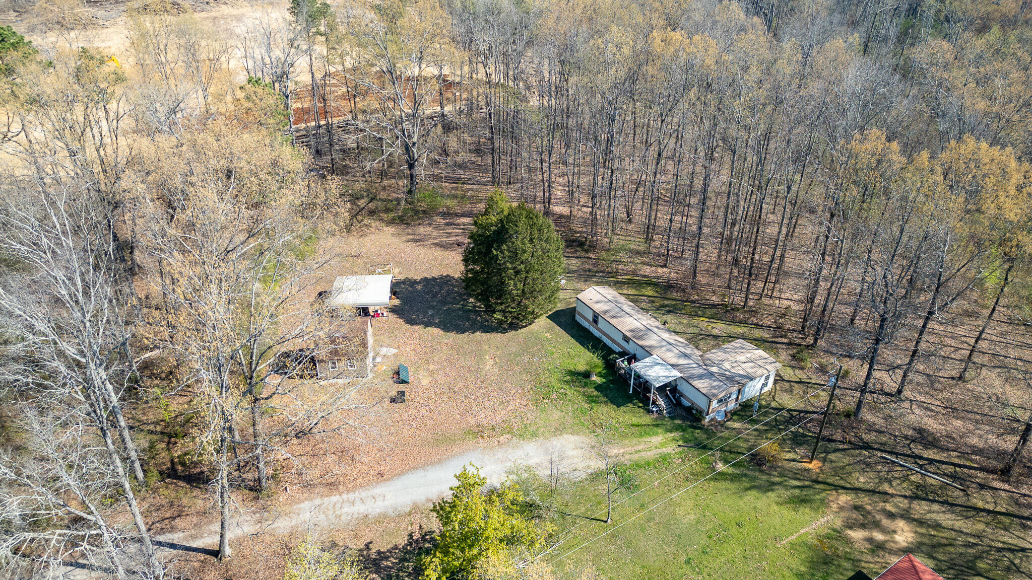 219 Tootie Lane
