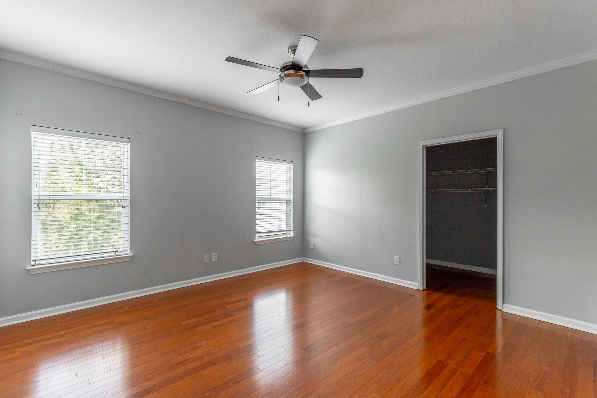 4102 Regency Court