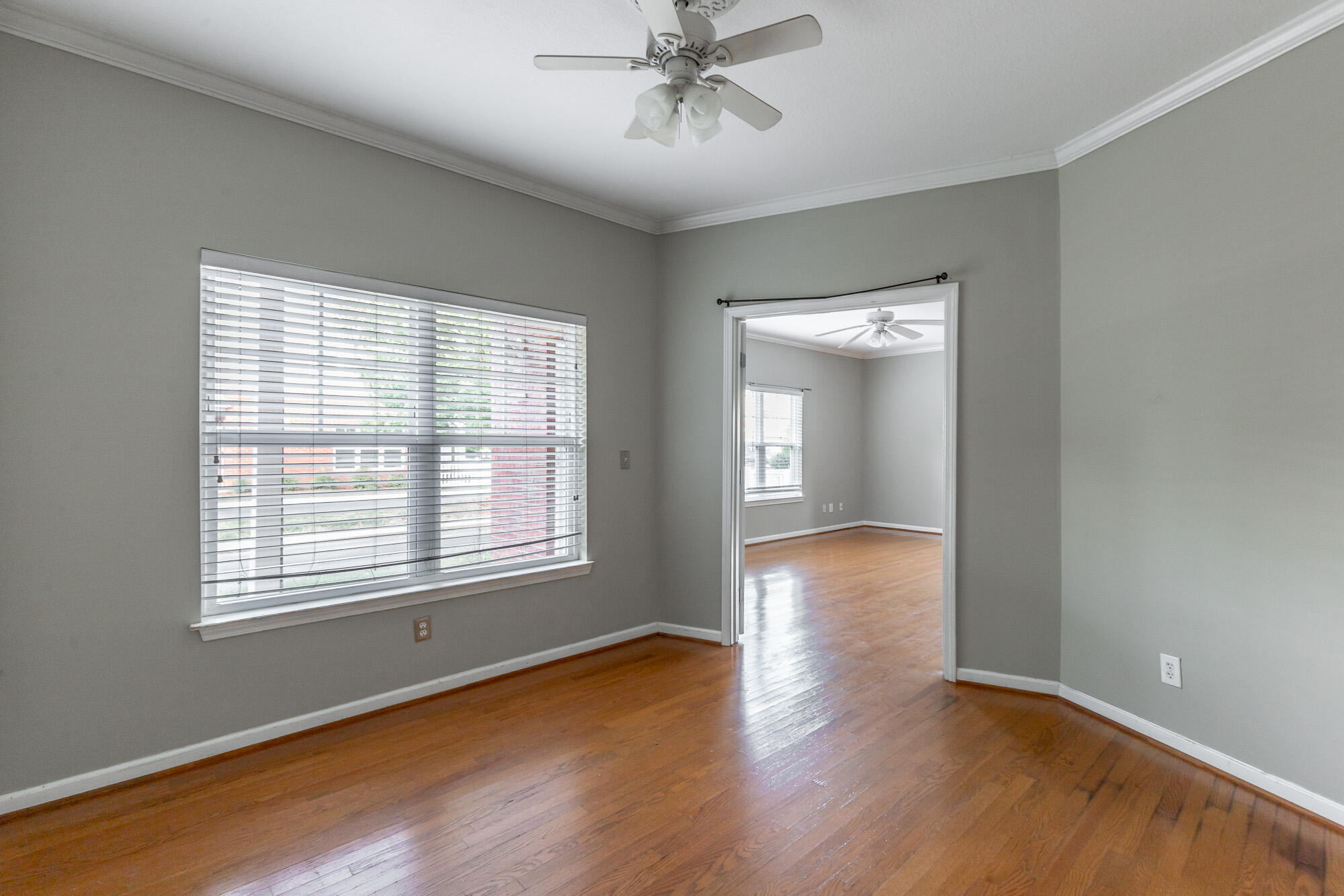 4102 Regency Court