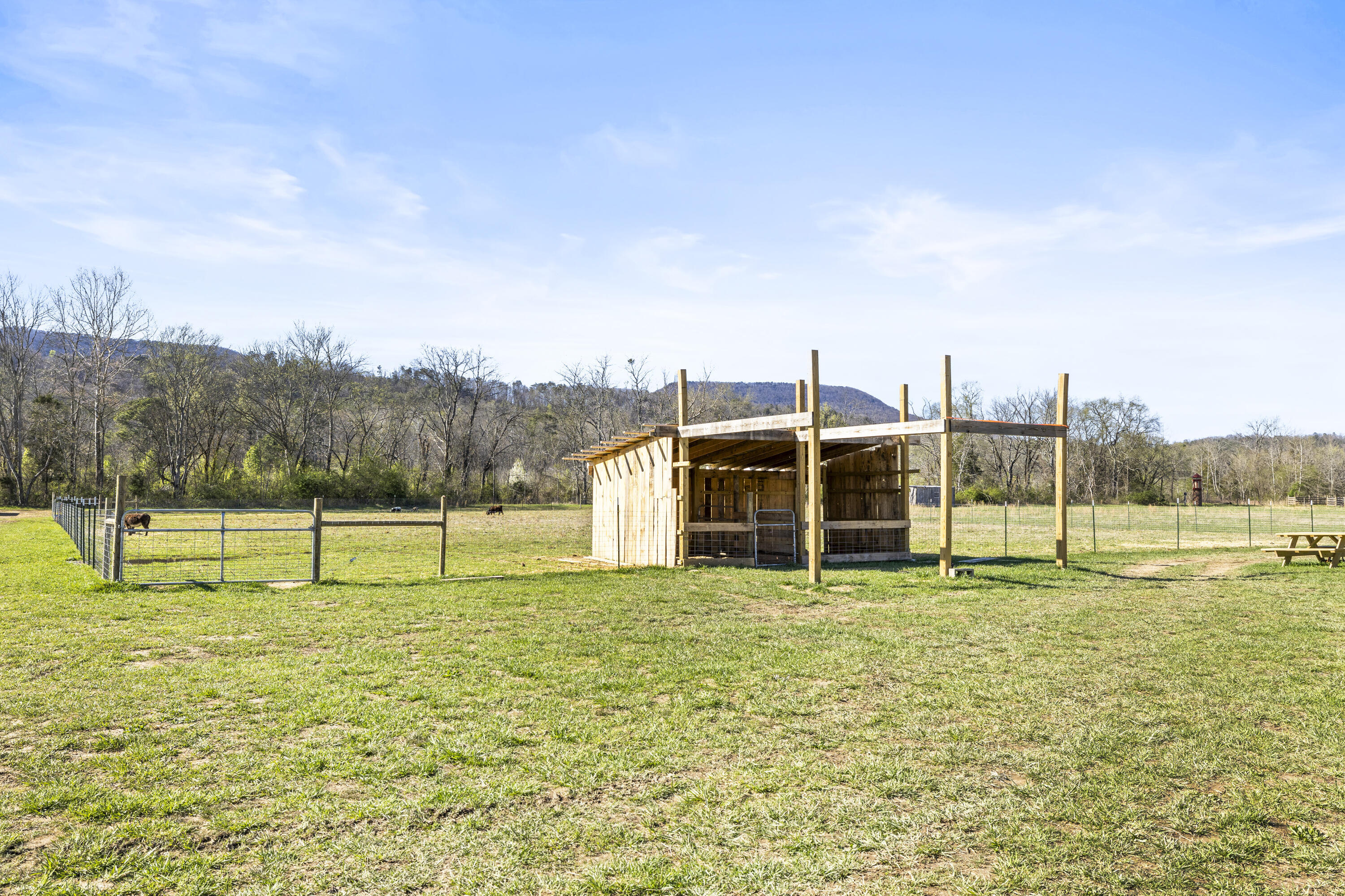 3400 Bronco Road, LaFayette