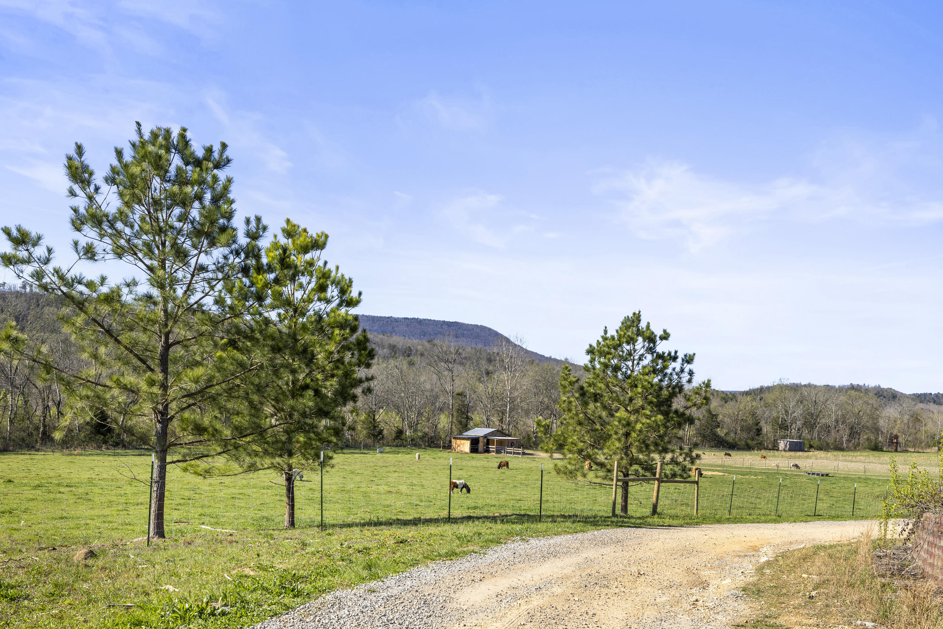 3400 Bronco Road, LaFayette