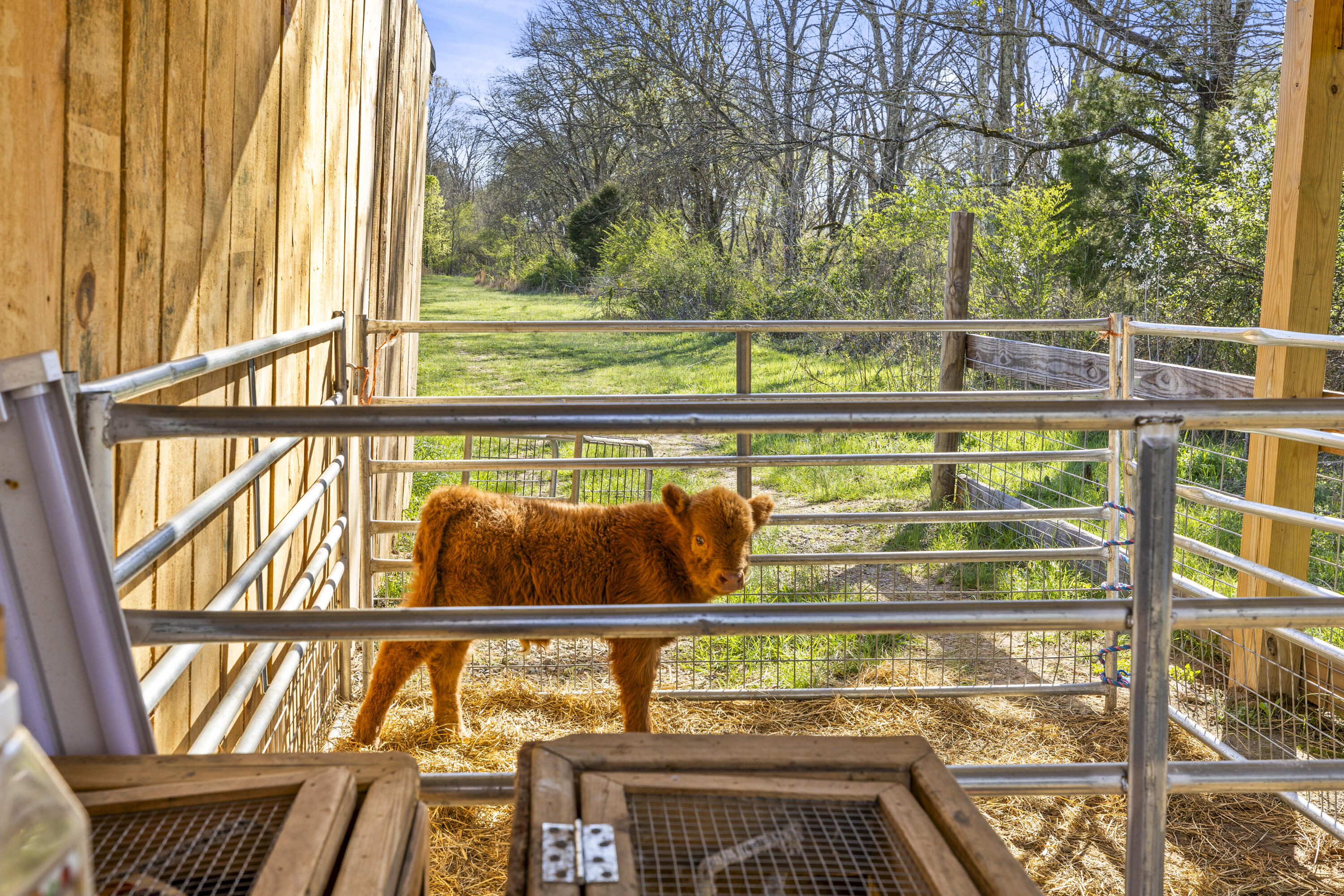 3400 Bronco Road, LaFayette