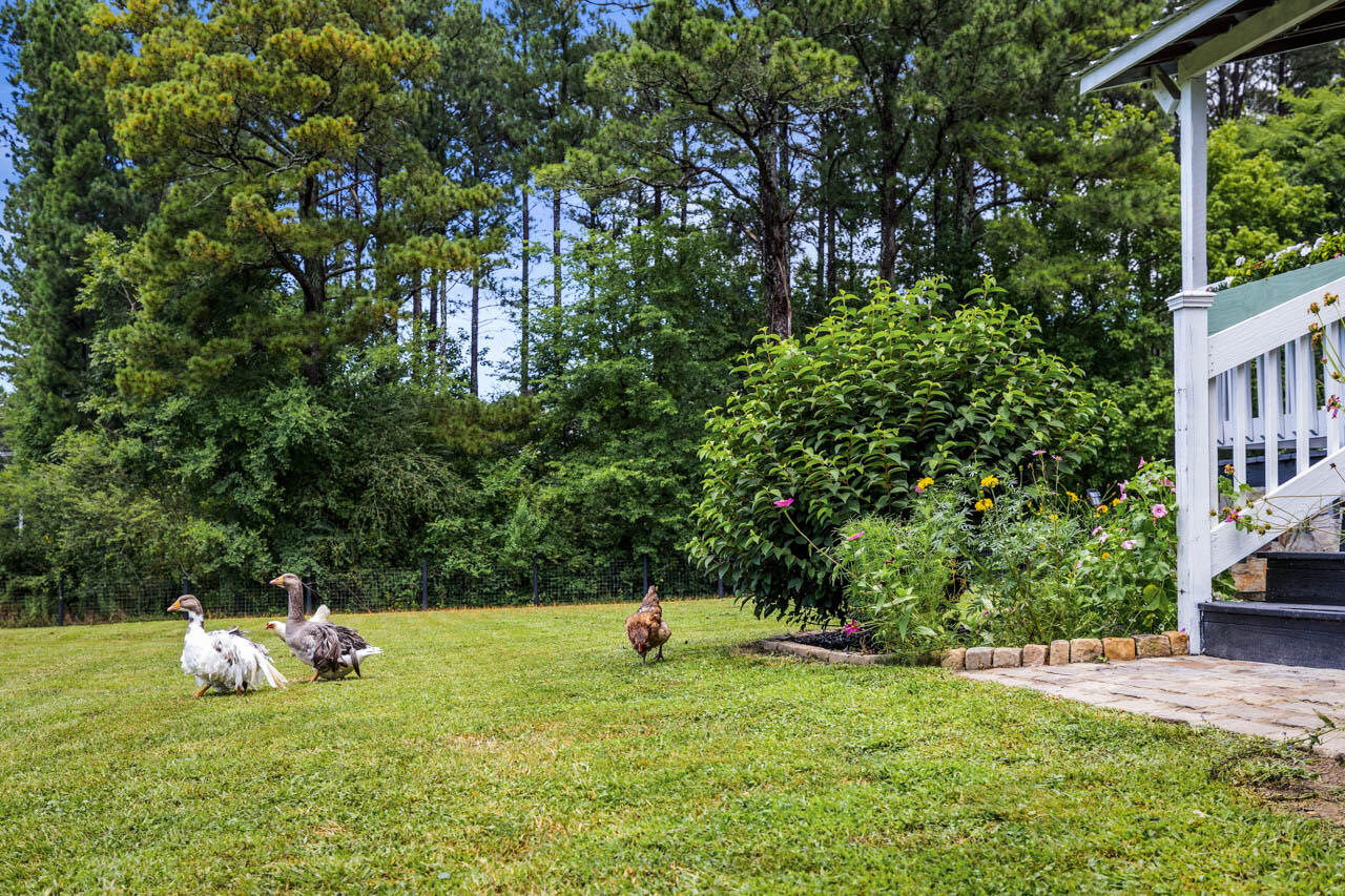 3372 Lake Kathy Road