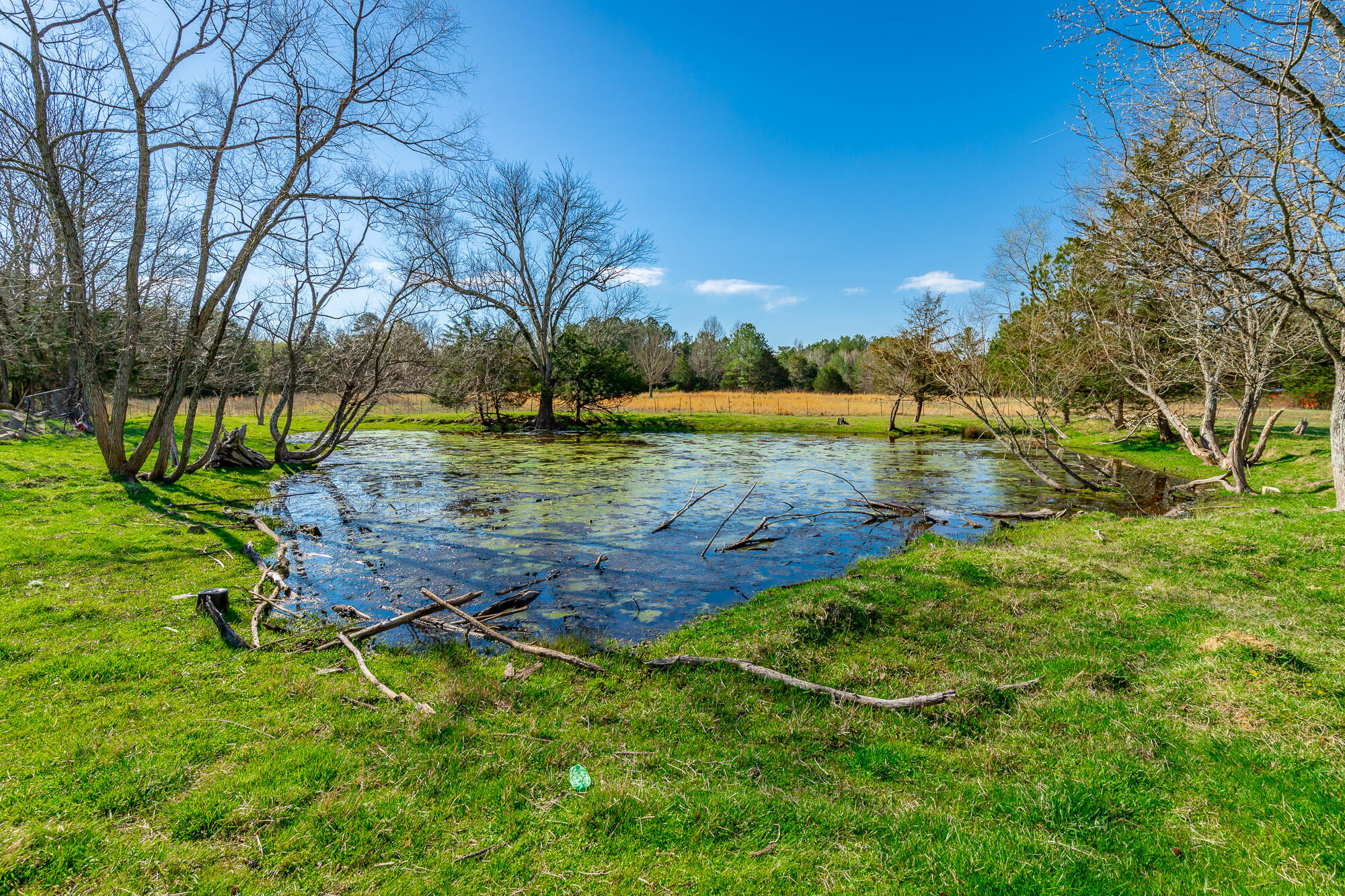 00 Poplar Springs Road
