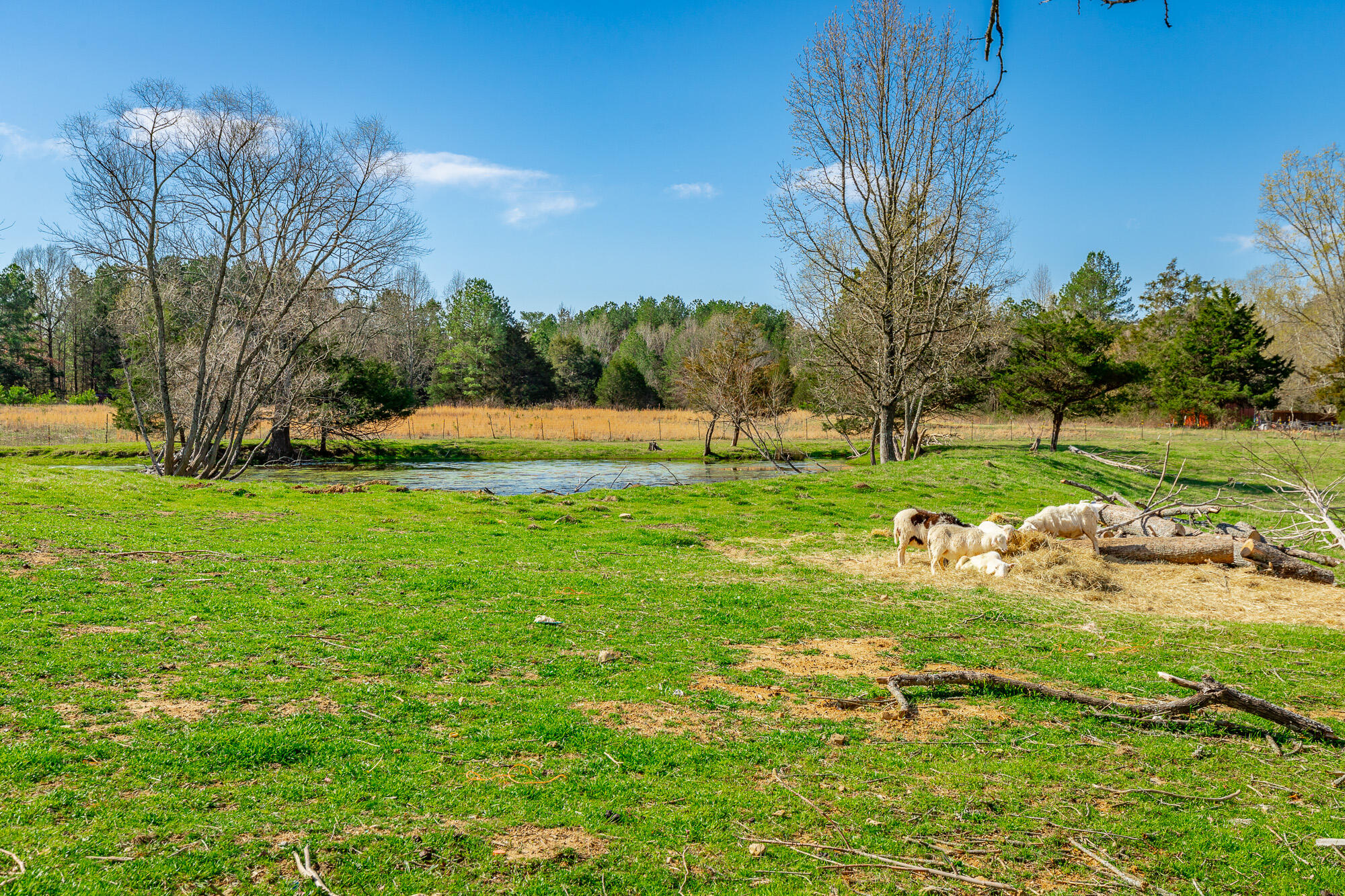 00 Poplar Springs Road