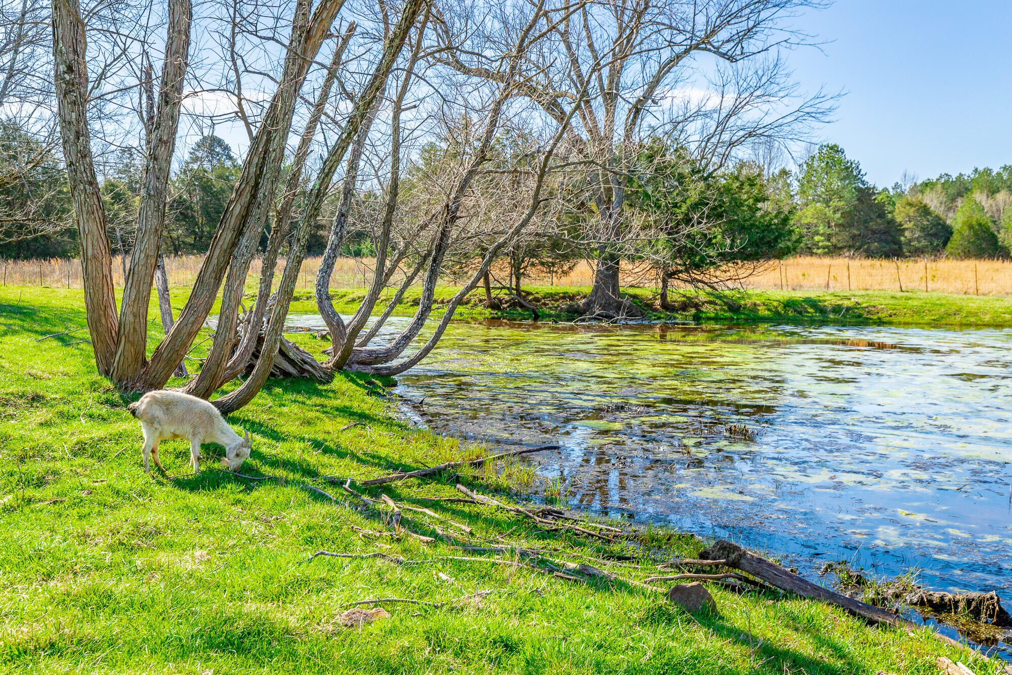 00 Poplar Springs Road