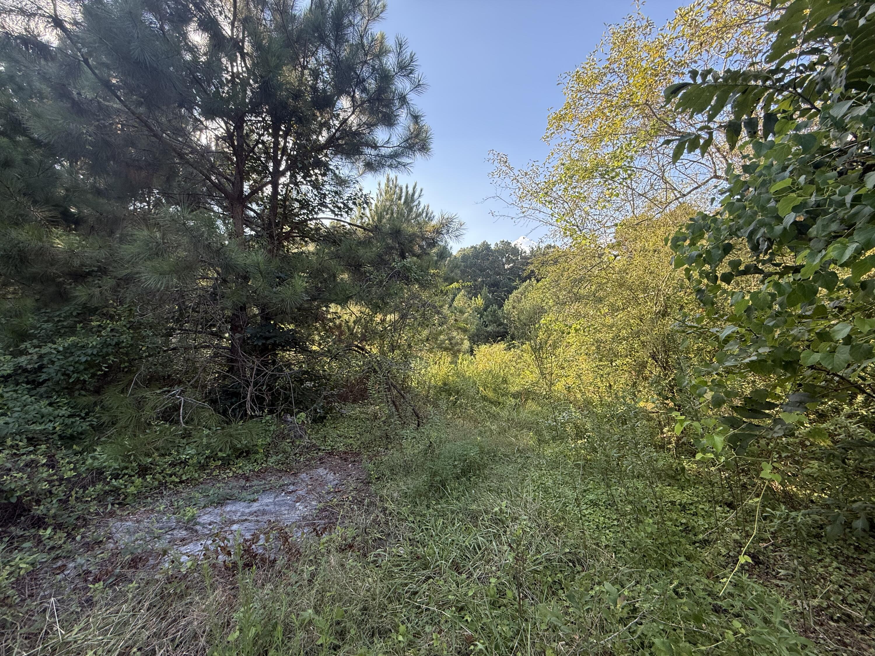 14446 Hwy 151