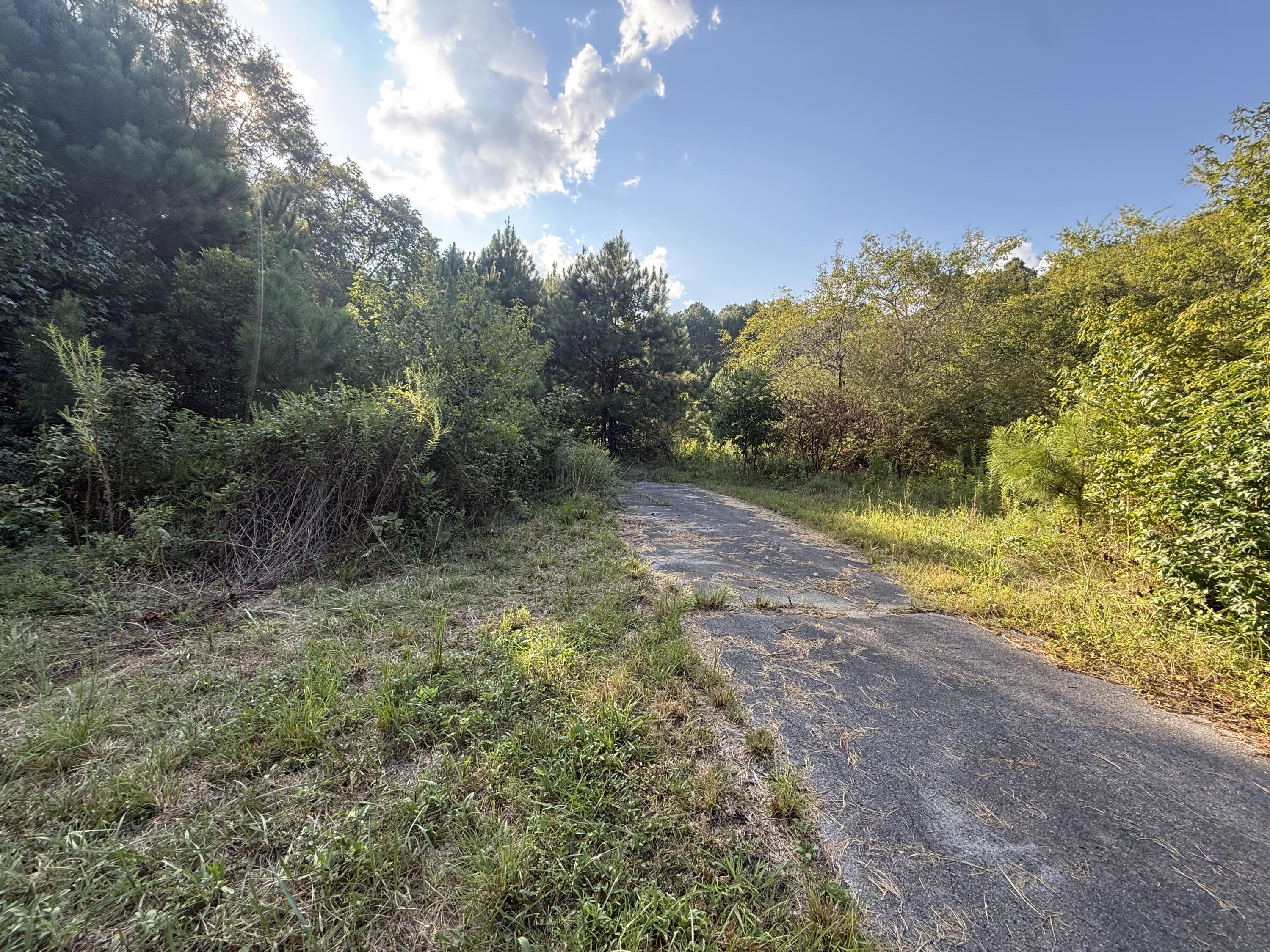 14446 Hwy 151