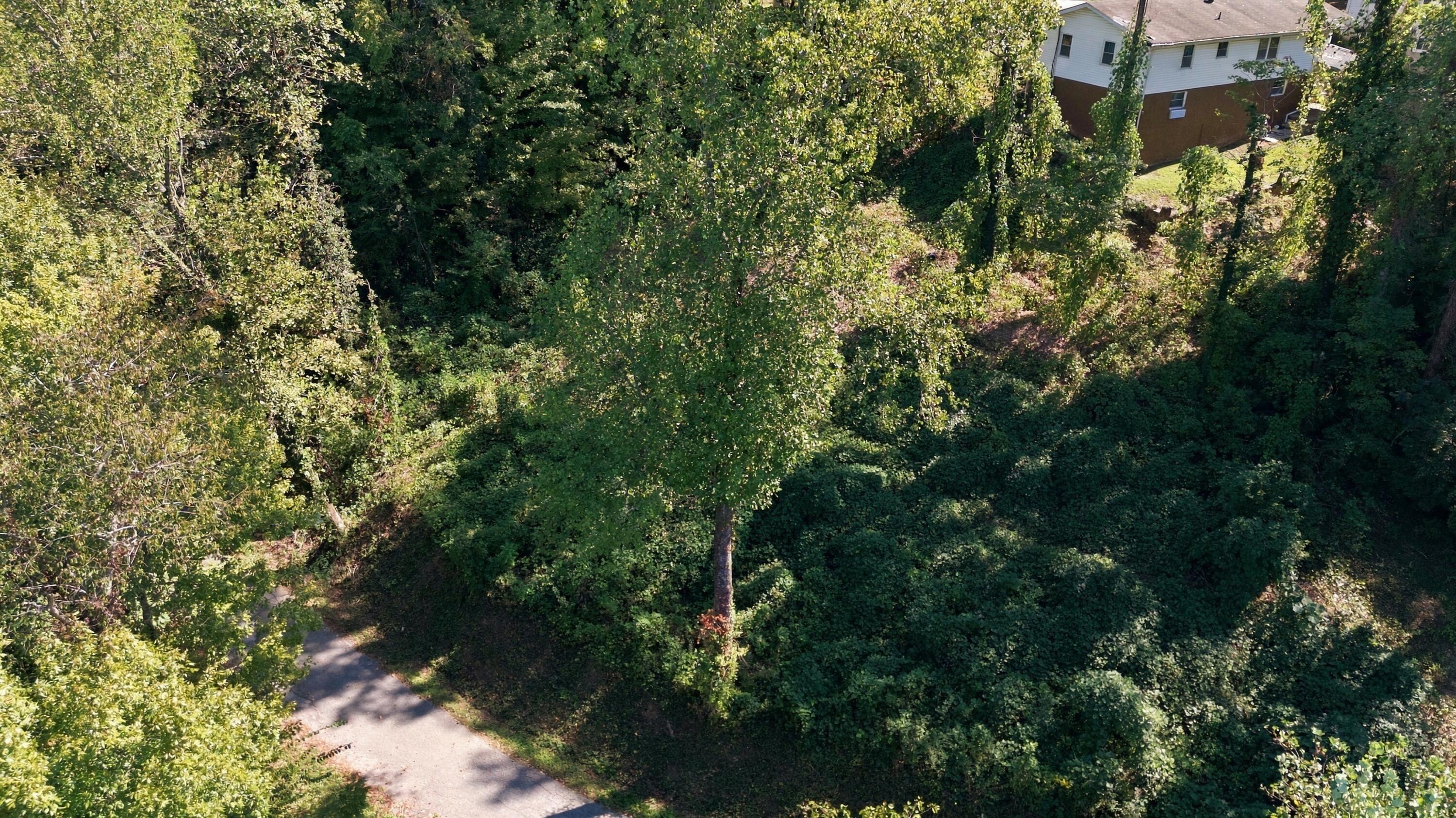 456 Red Oak Drive