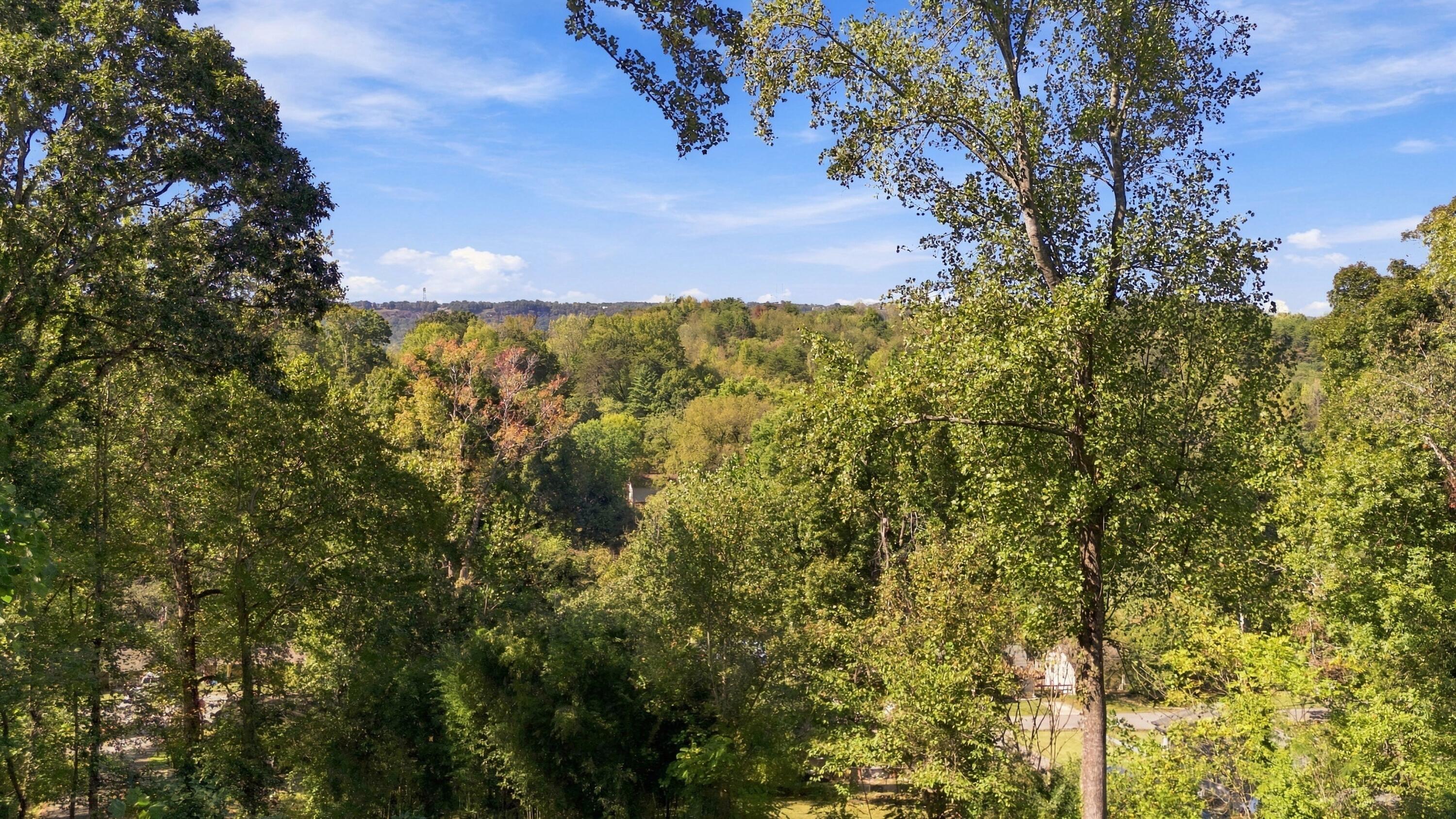 456 Red Oak Drive