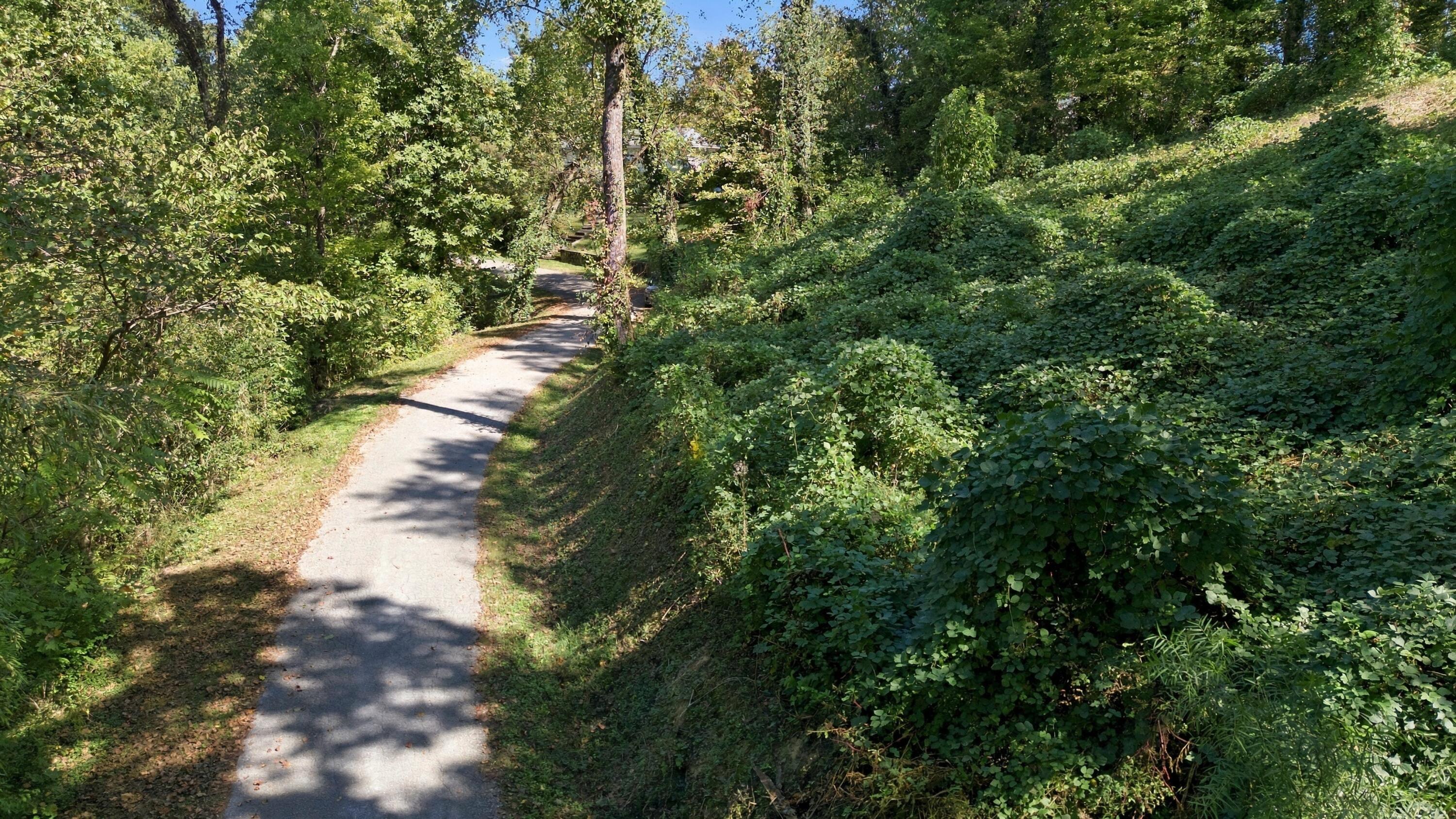 456 Red Oak Drive