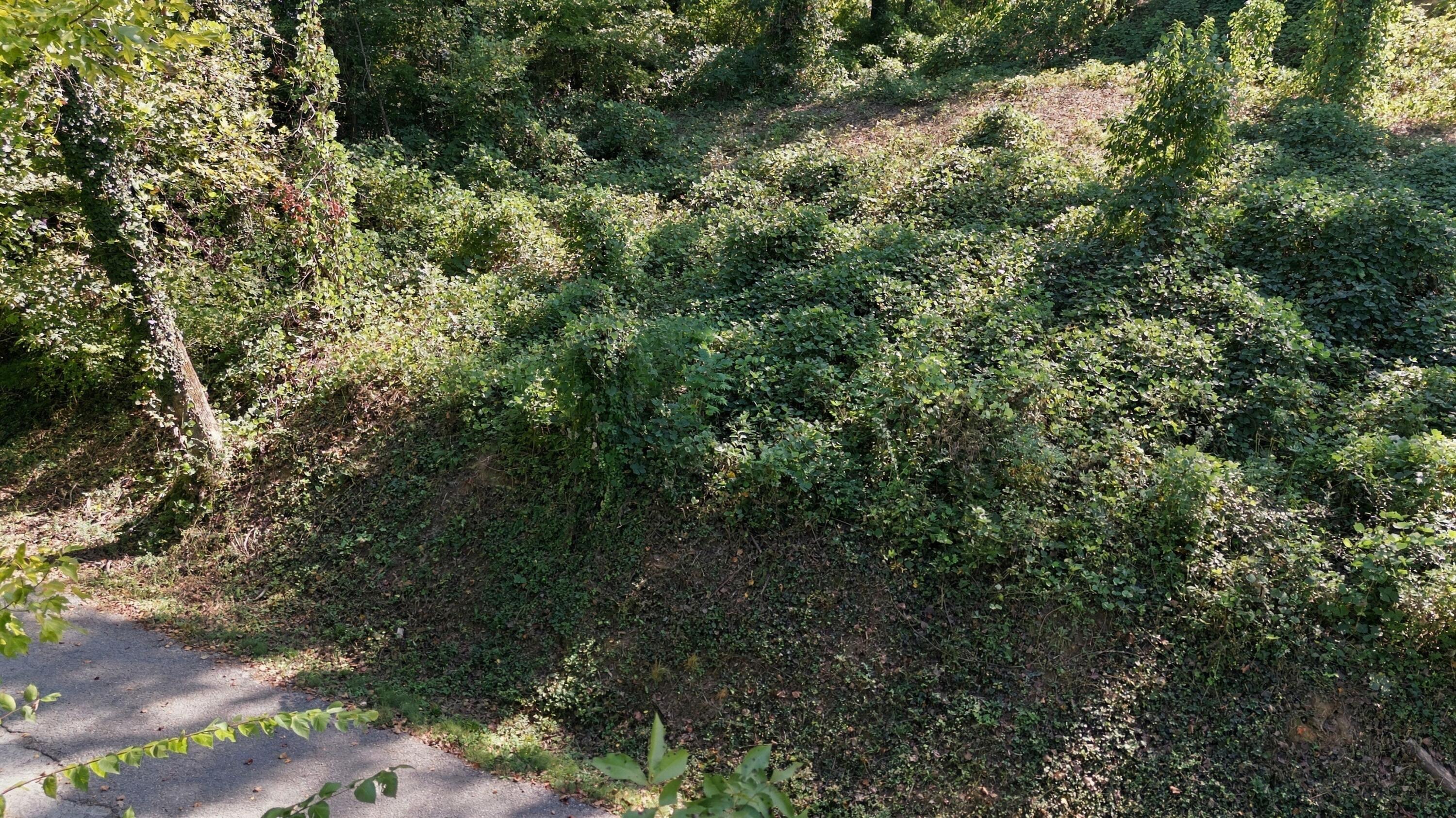 456 Red Oak Drive