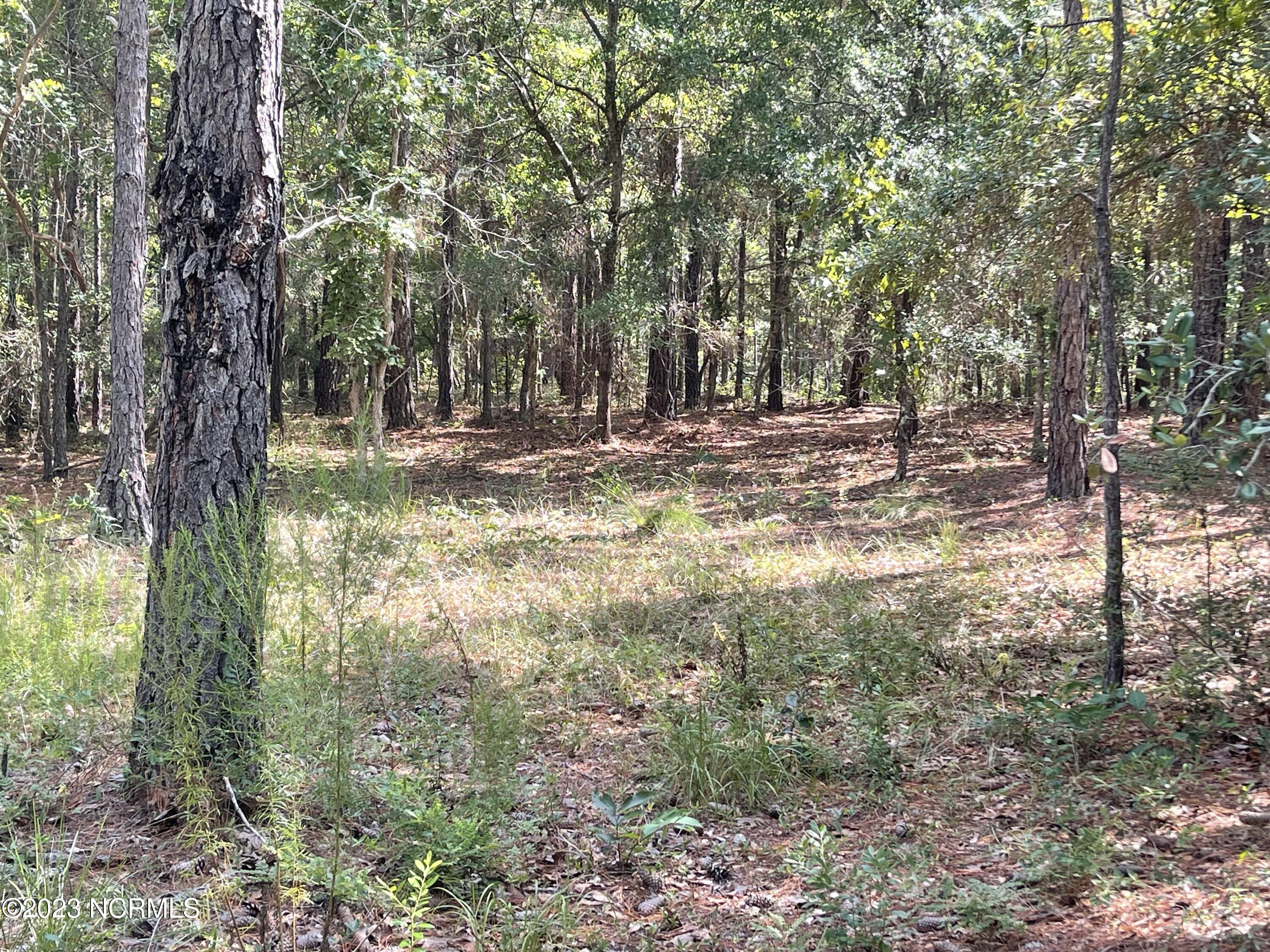 2912 91 Cartagena Passage SE