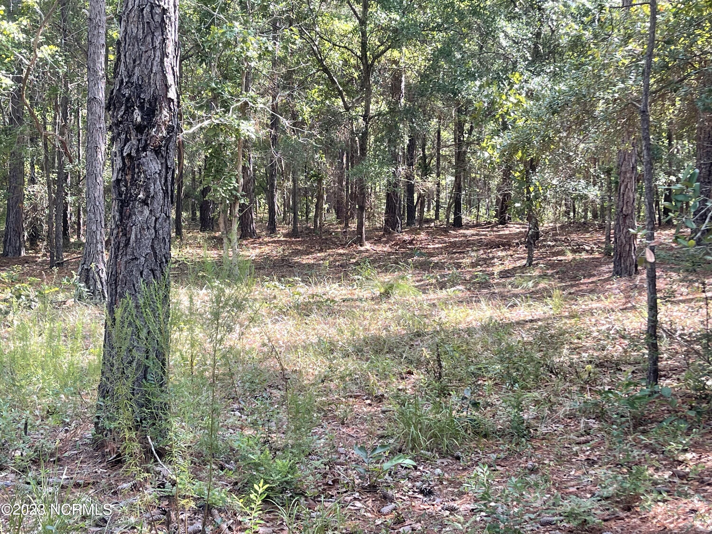 2912 91 Cartagena Passage SE