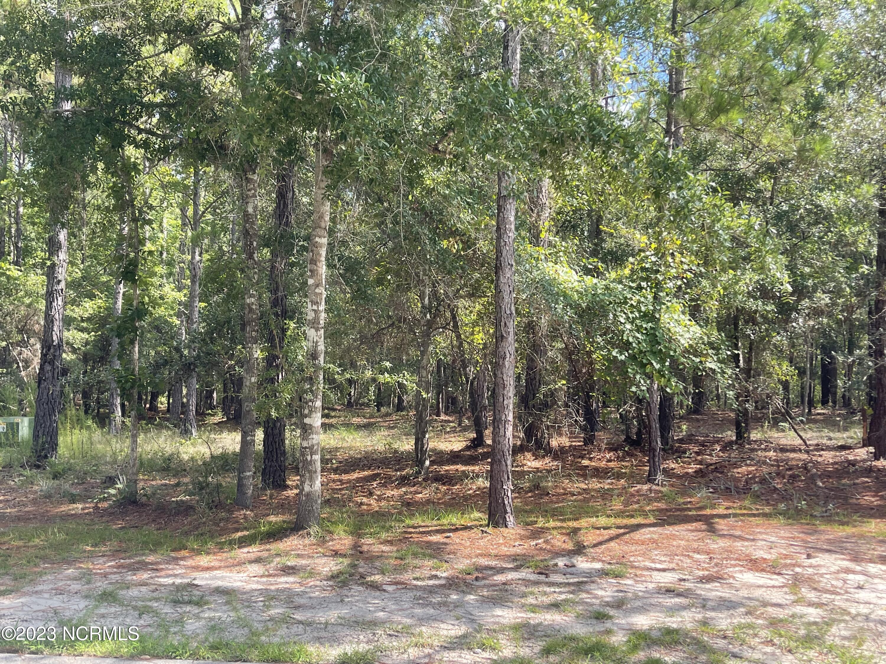 2912 91 Cartagena Passage SE