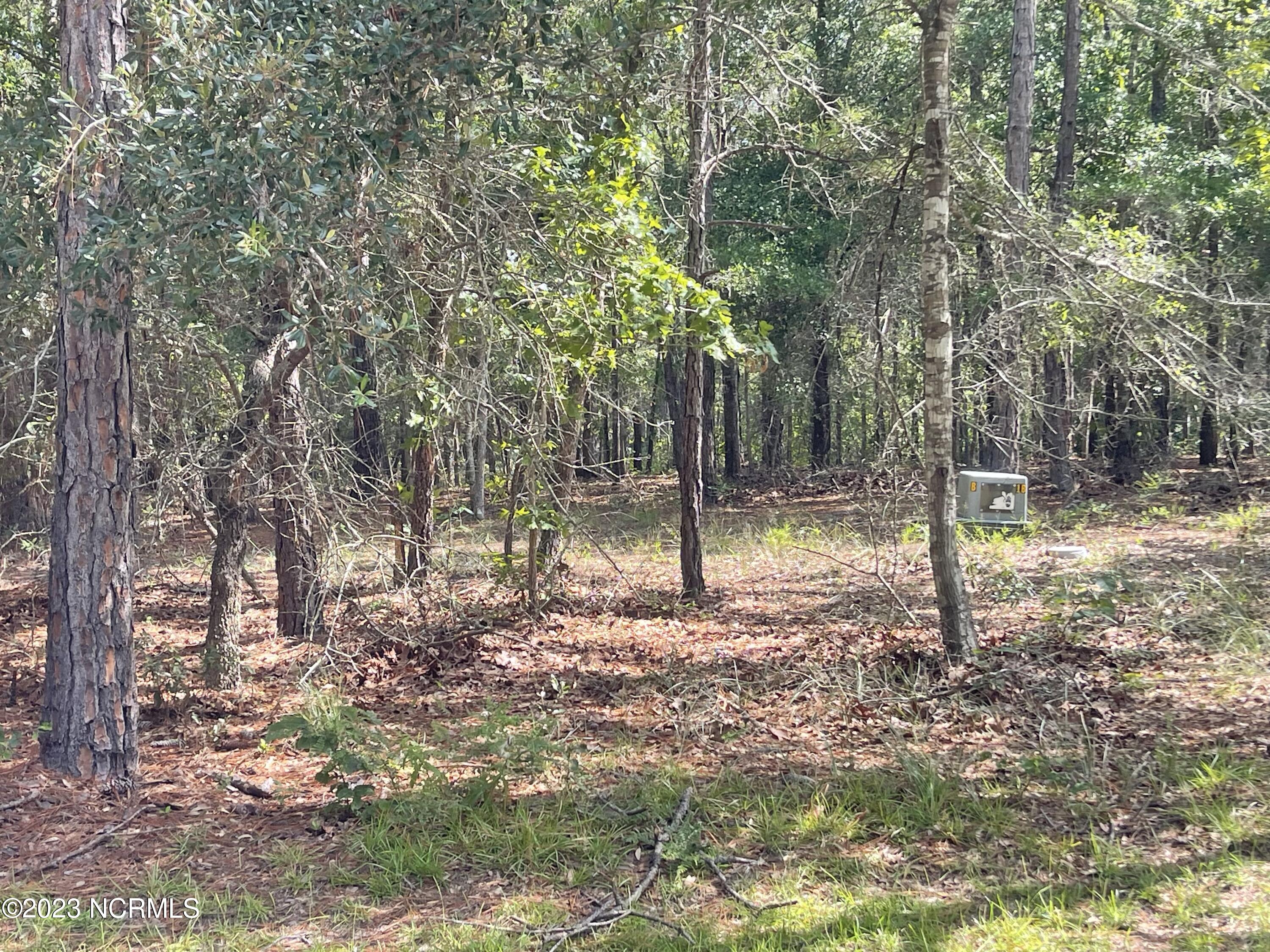 2912 91 Cartagena Passage SE