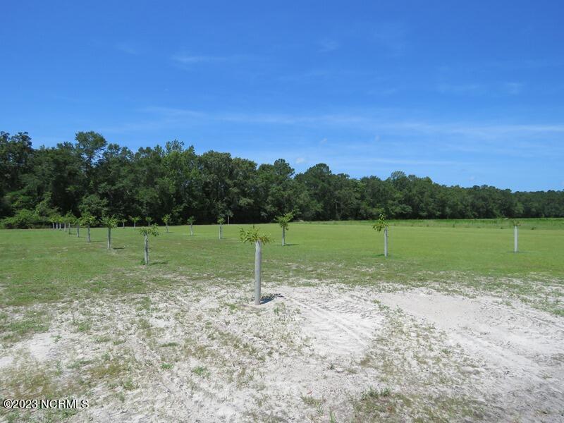 1216 Bighorn Drive NW