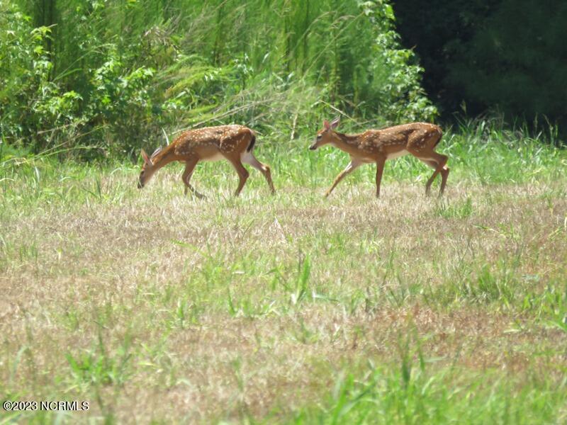 1216 Bighorn Drive NW