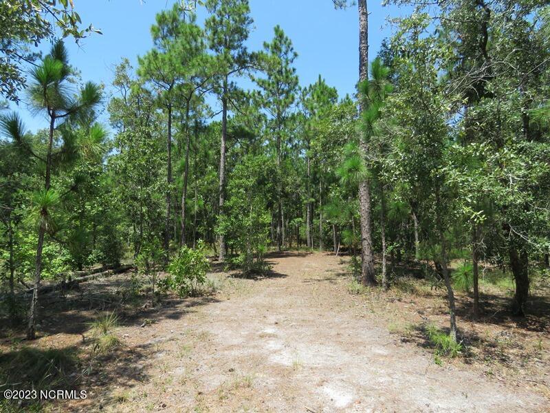 1216 Bighorn Drive NW