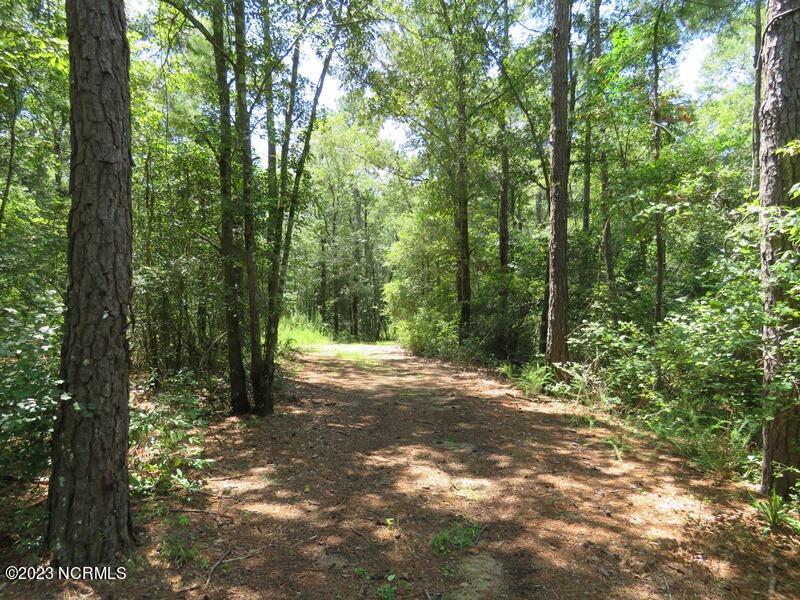 1216 Bighorn Drive NW