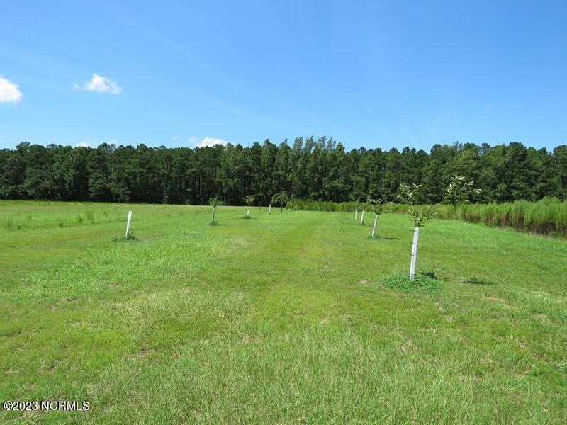 1216 Bighorn Drive NW