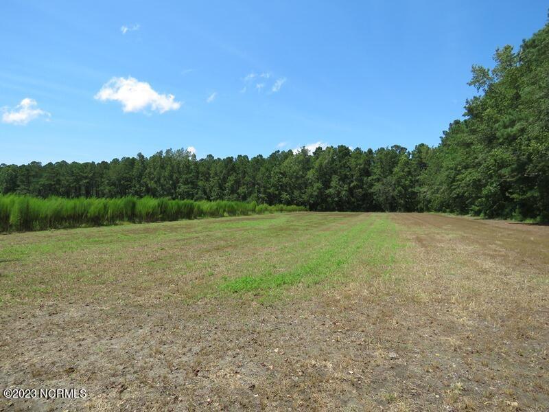 1216 Bighorn Drive NW