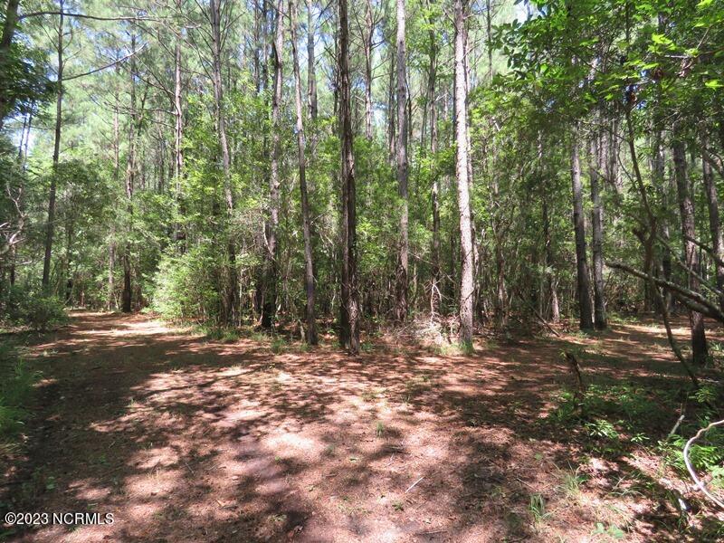 1216 Bighorn Drive NW