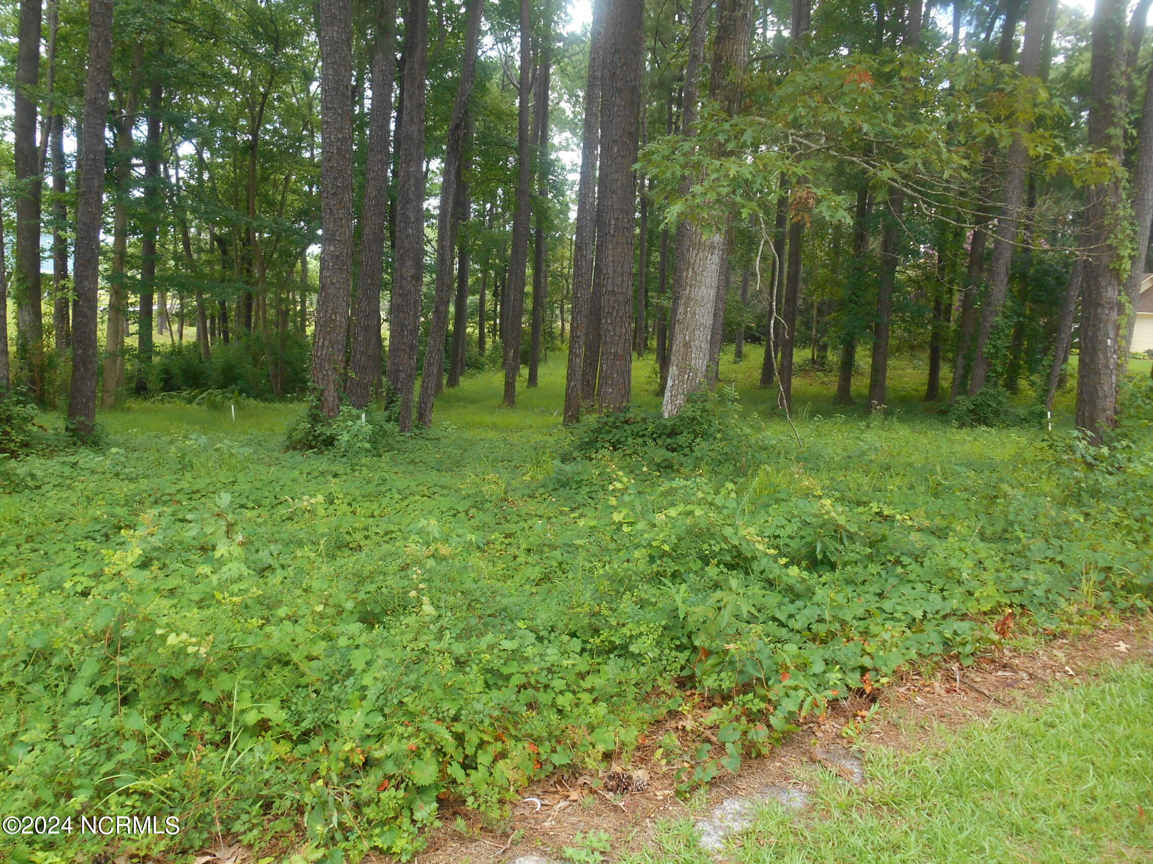 6491 Walden Pond Lane