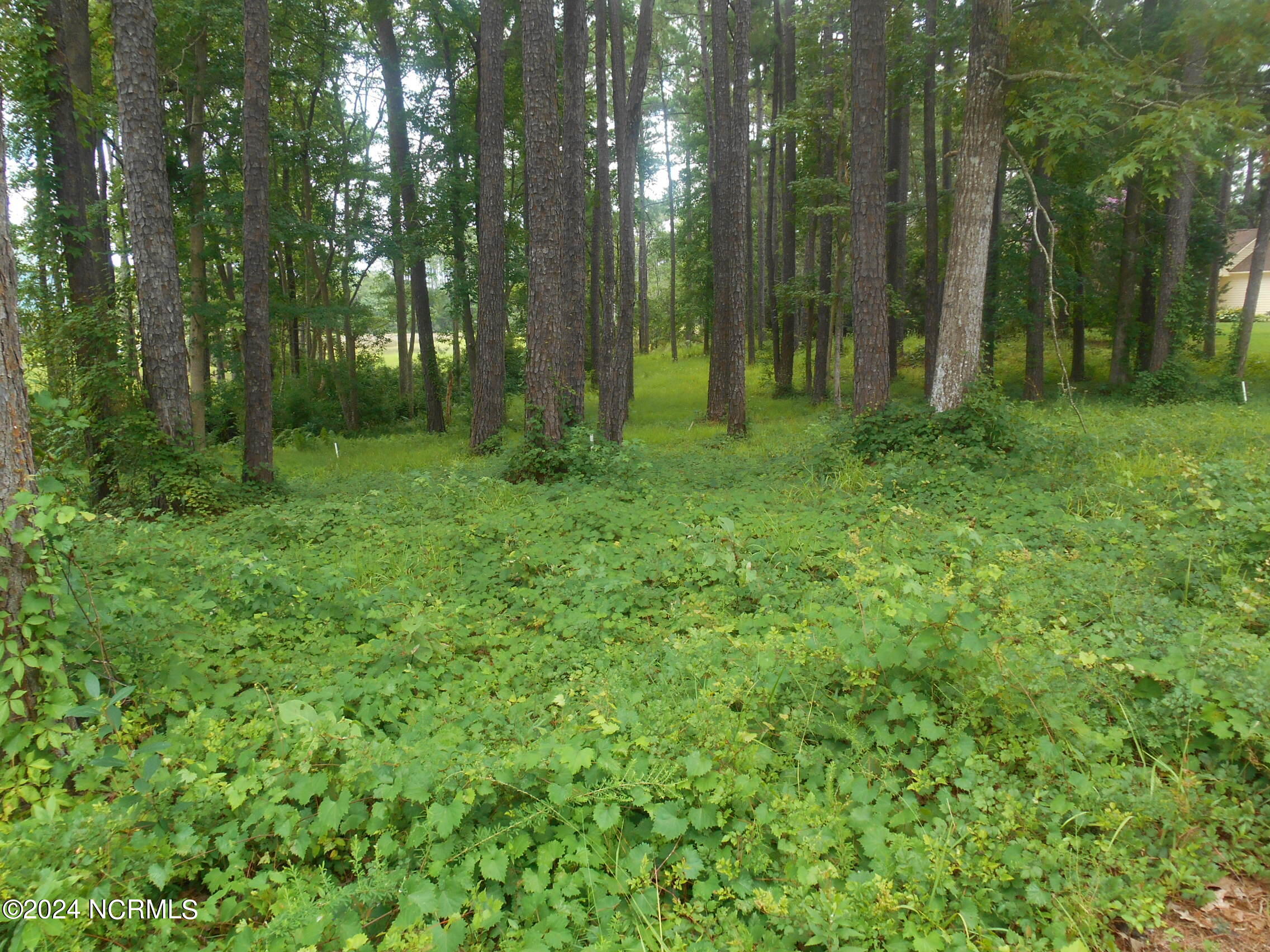 6491 Walden Pond Lane