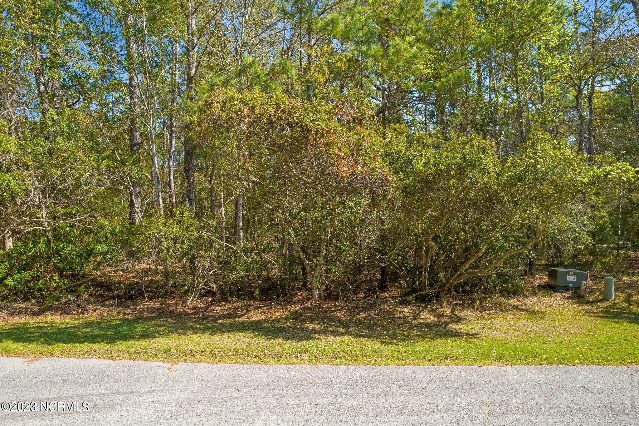 673 47 Carolina Bay Court