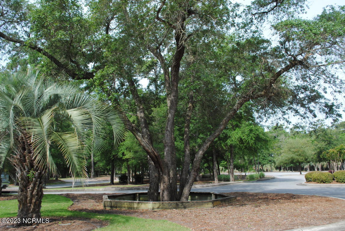 3714 P4 Montagu Way SW