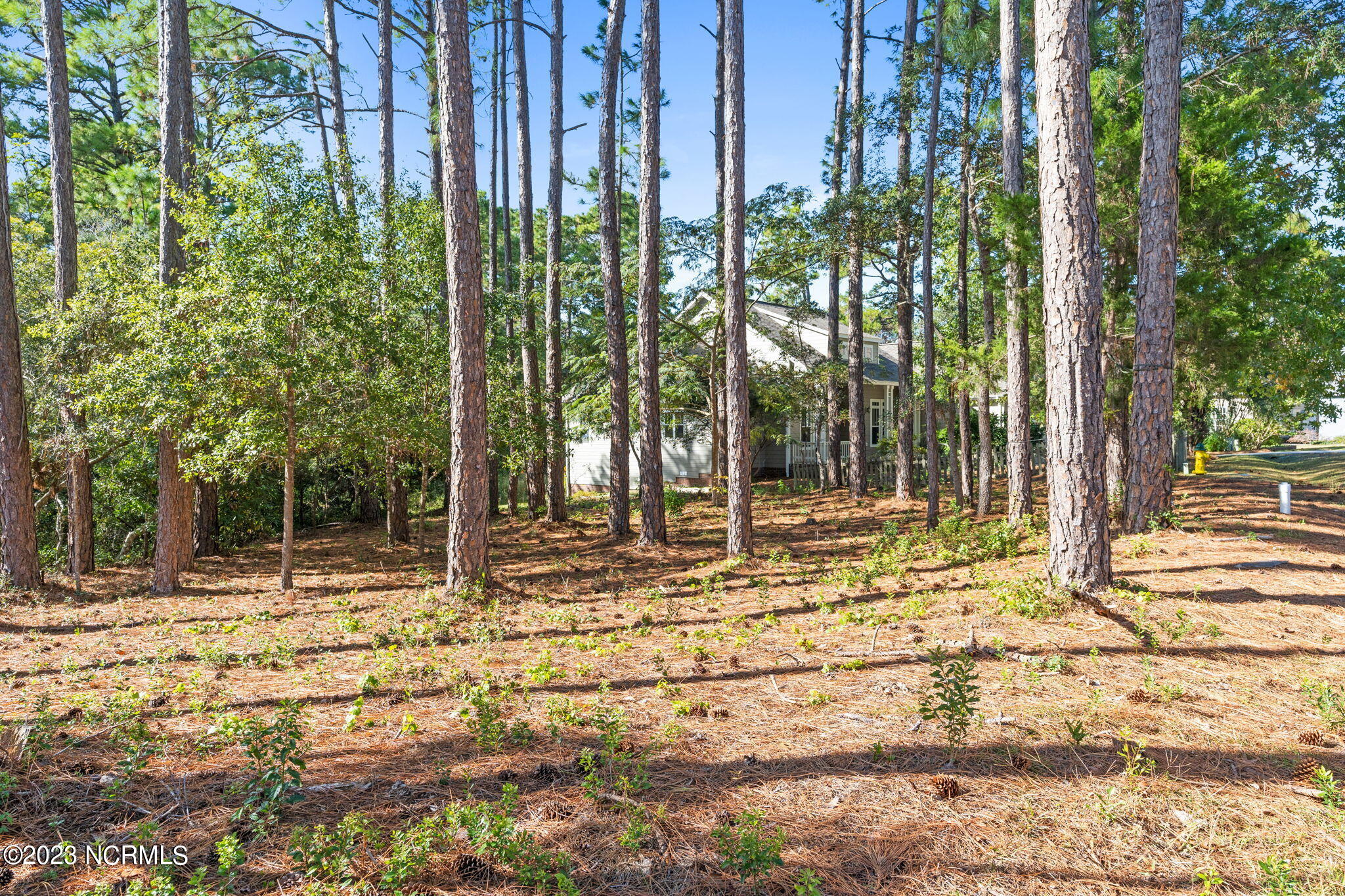 3842 14 Winding Vine Way