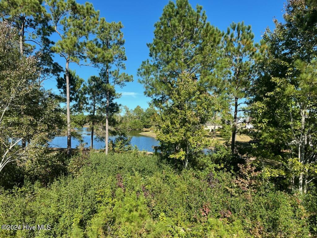 1224 Mandevilla Drive SE