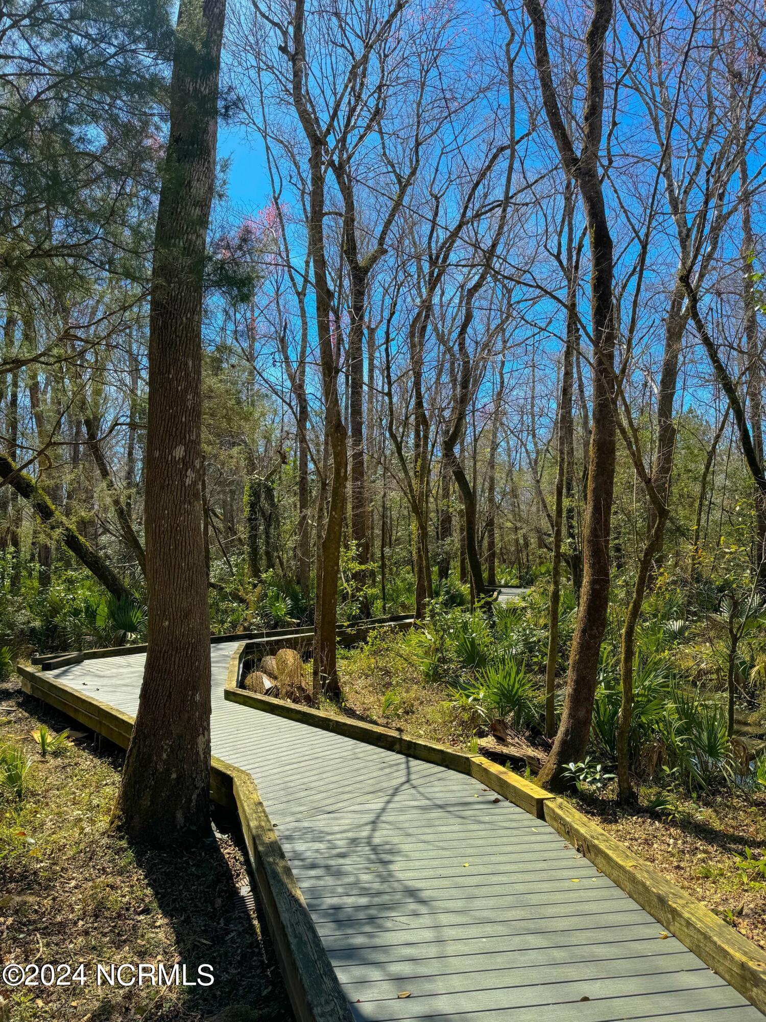 1161 Serotina Drive SE