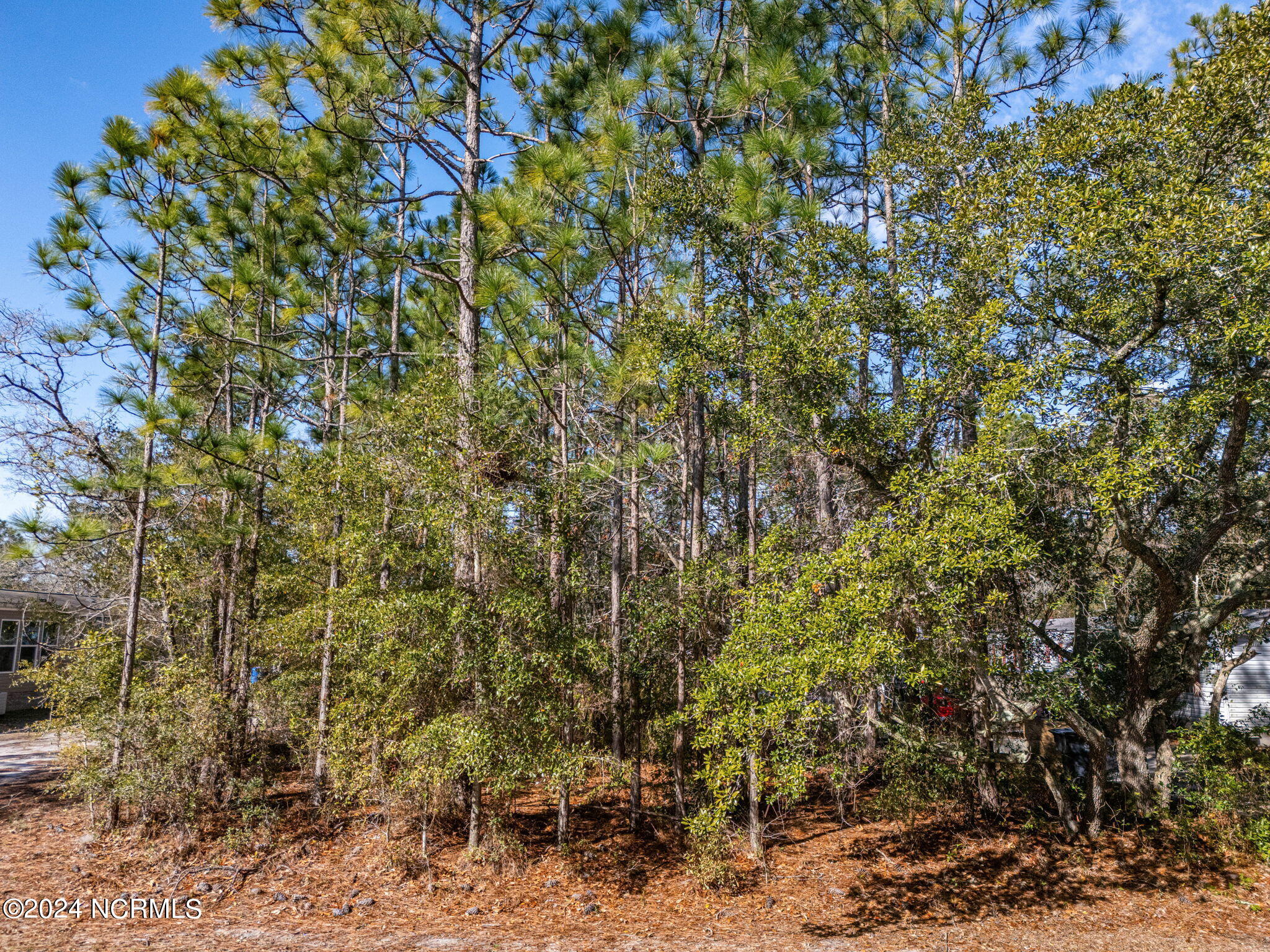 872 Wimberley Road