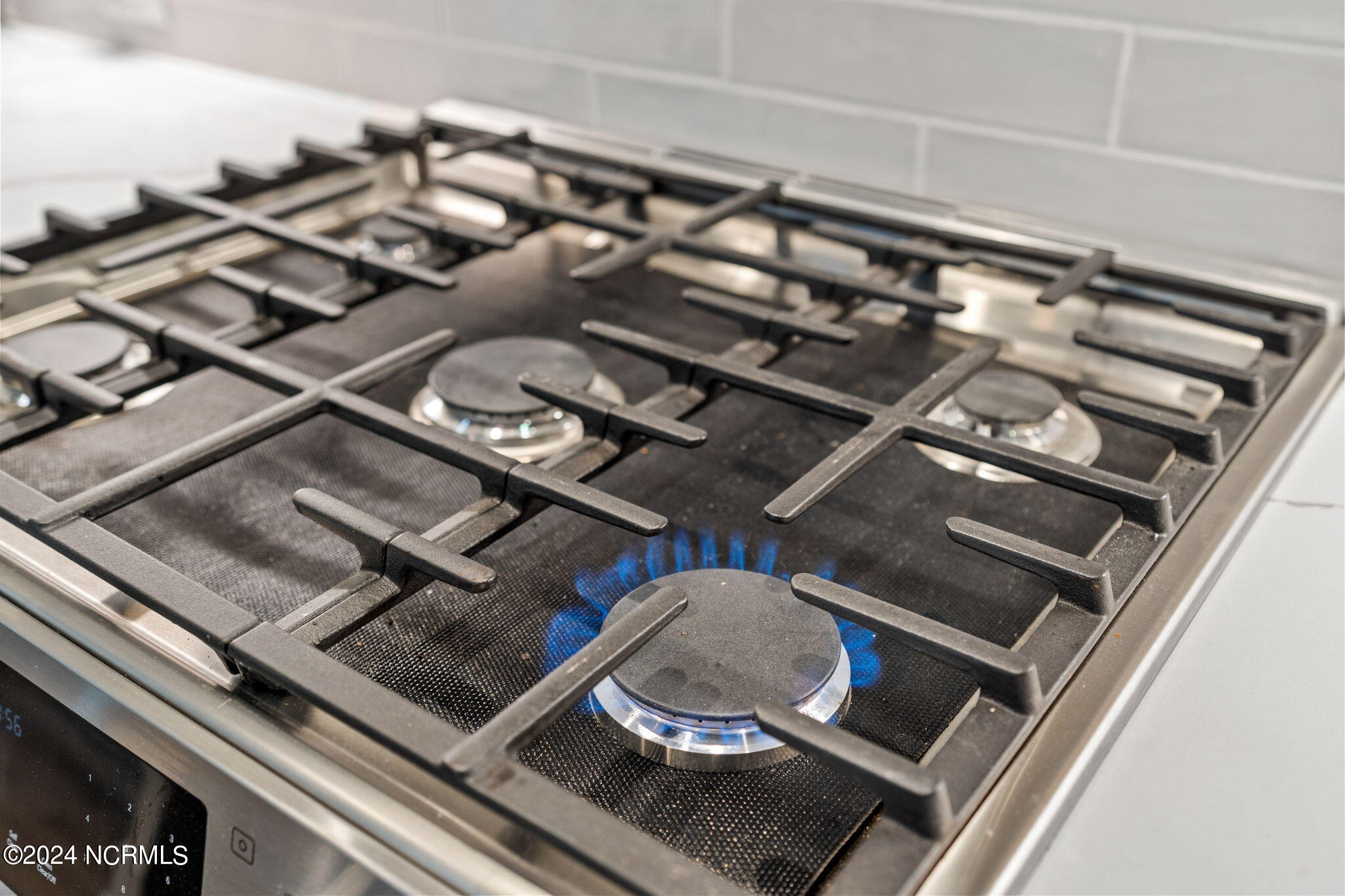 6024 Spikerush Trail