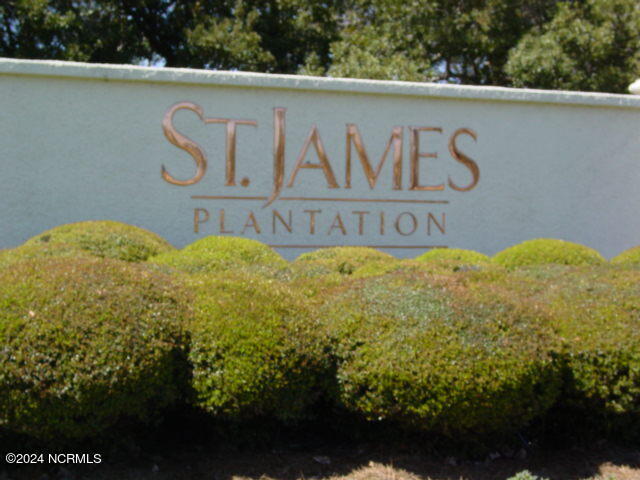 4123 Lark Bunting Court SE