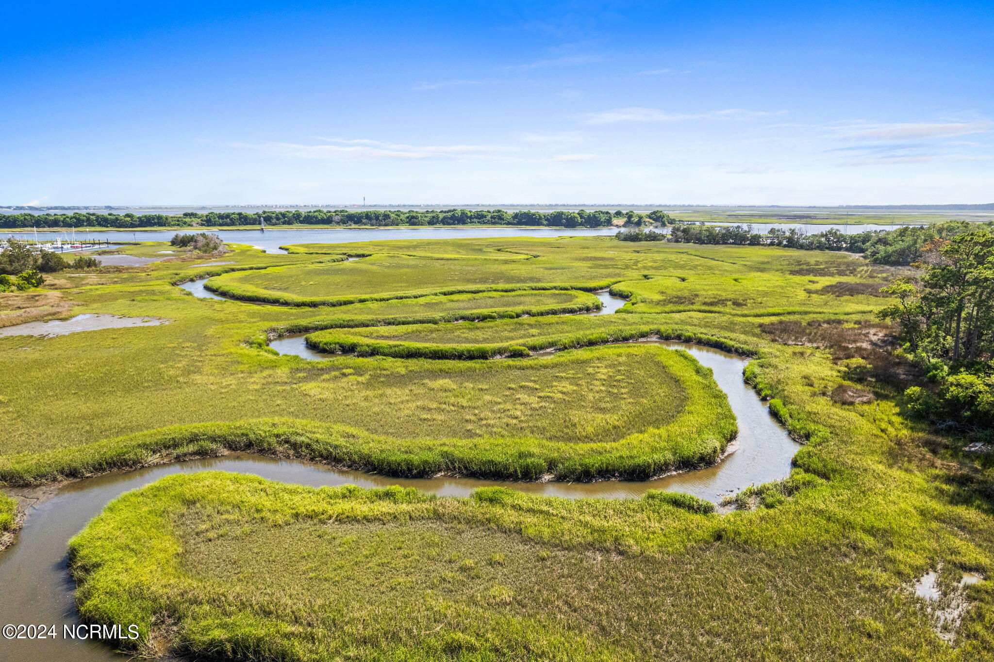 653 Spartina Court
