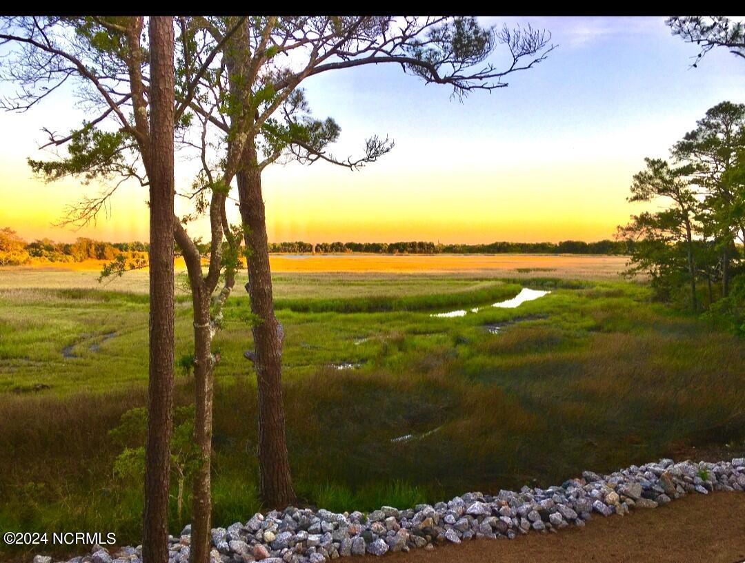 653 Spartina Court