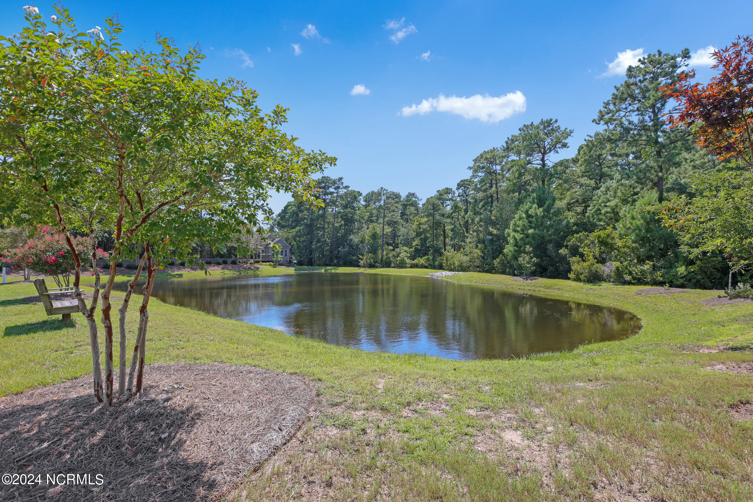 3709 Turkey Oak Court