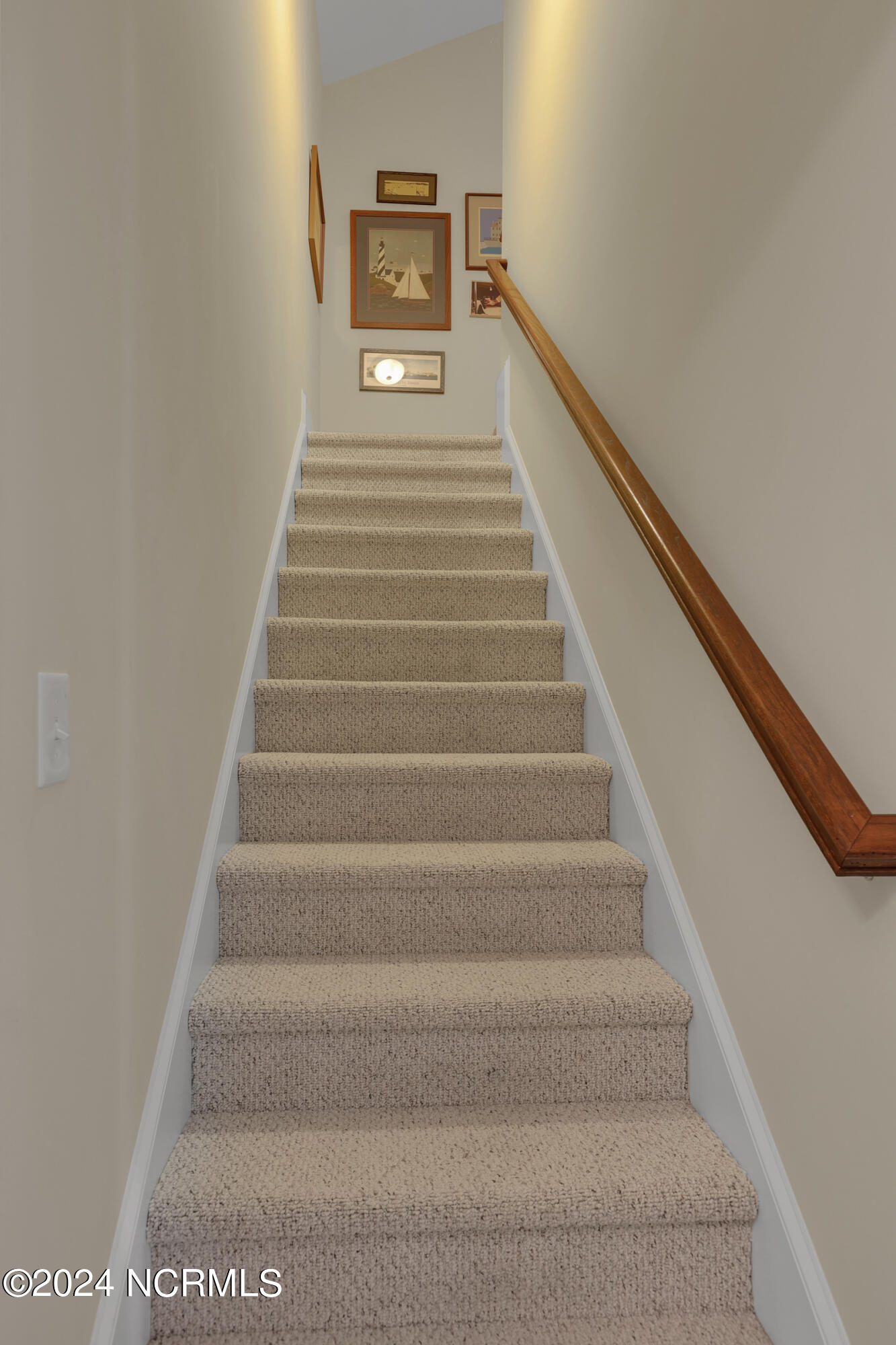 3709 Turkey Oak Court