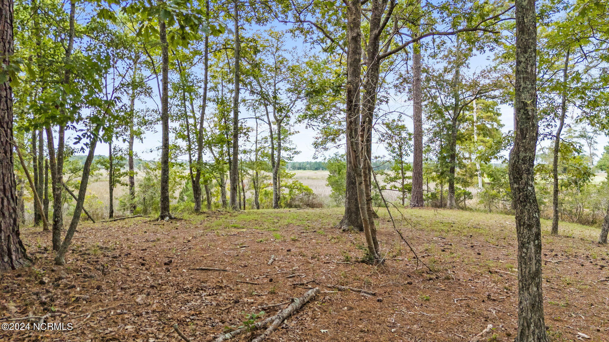 469 Deep Water Drive SE