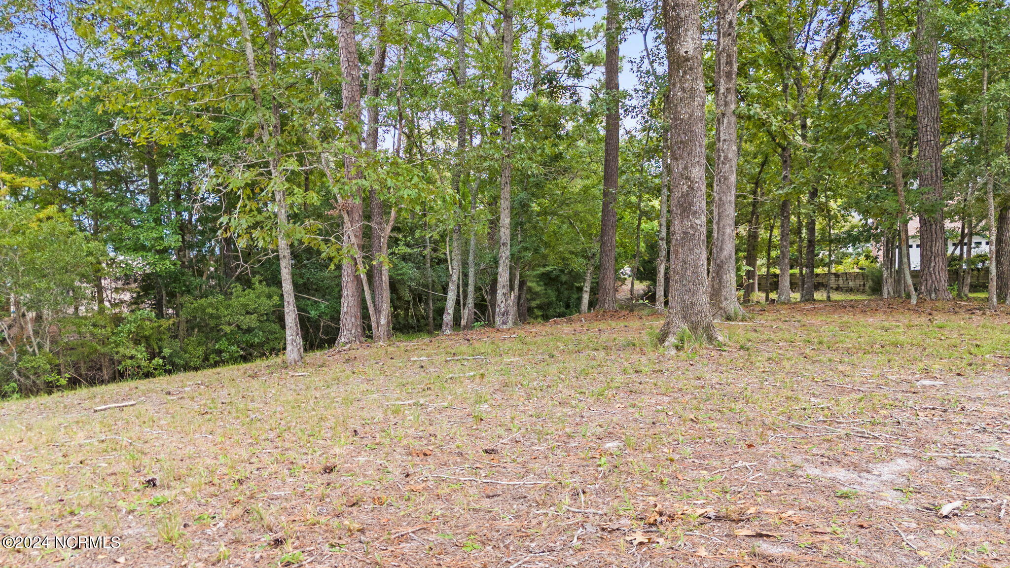 469 Deep Water Drive SE